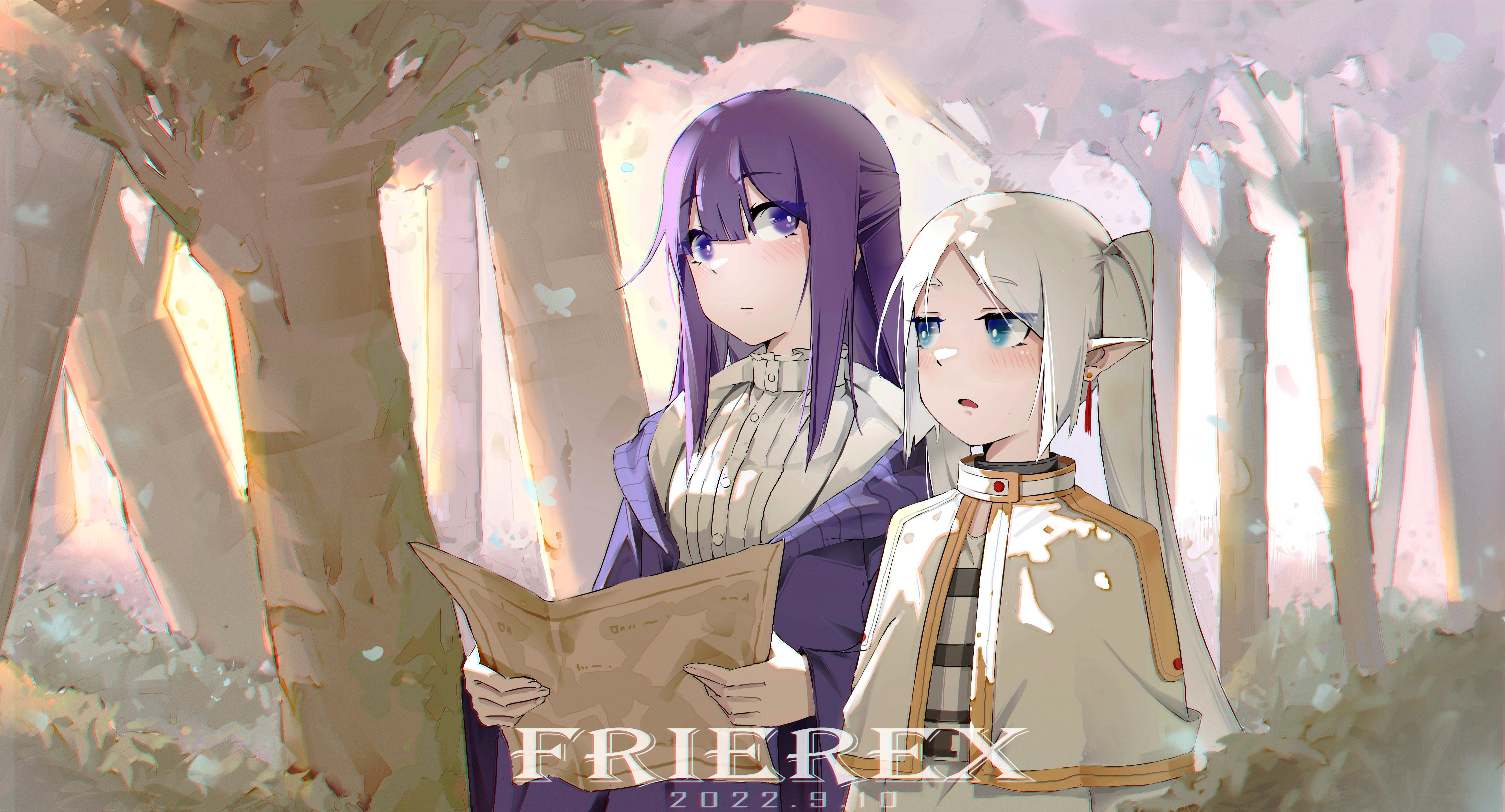5906x3189 Anime wallpaper sousou no frieren 5906x3189 784225 en