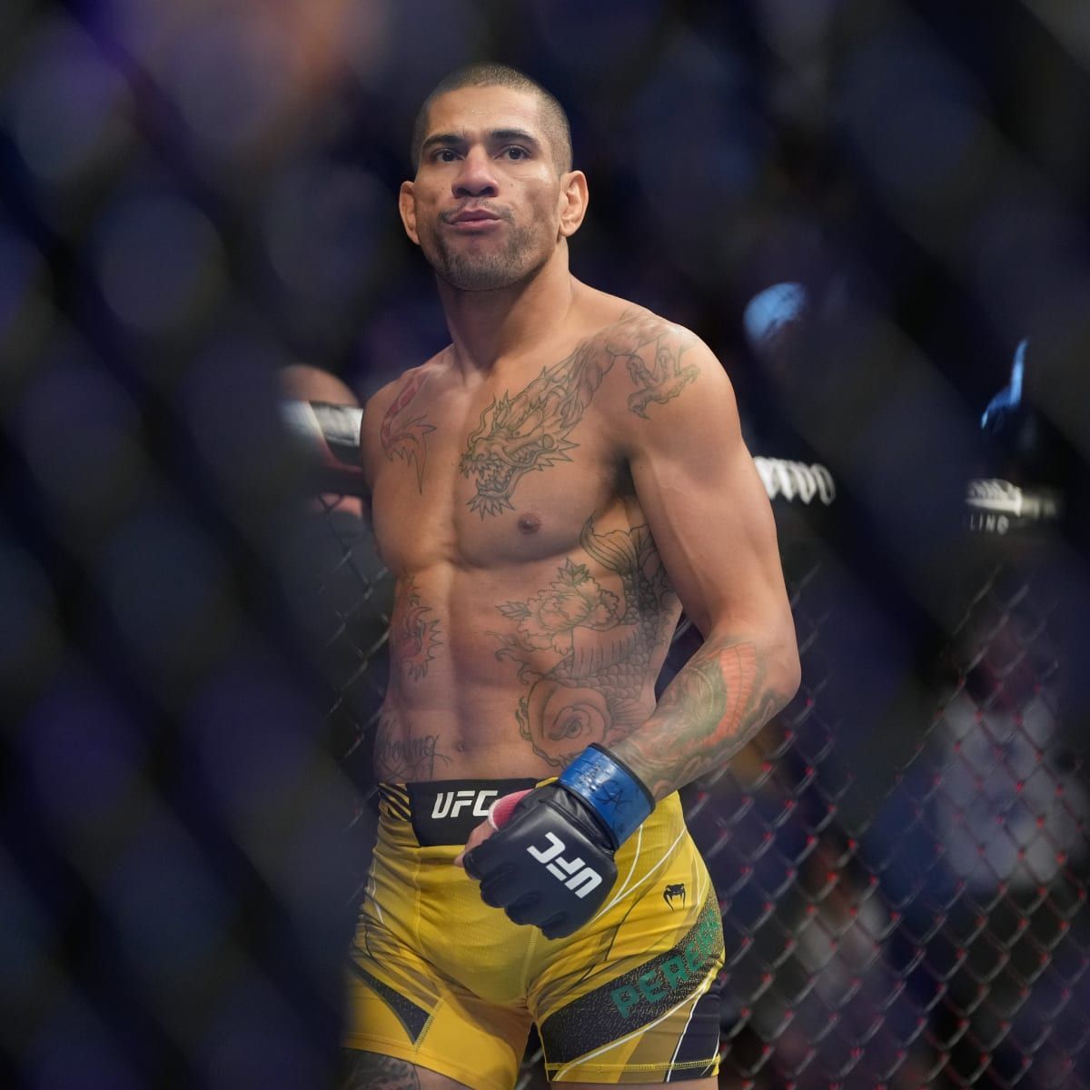 1200x1200 Alex Pereira unafraid to take MSG stage, Israel Adesanya's Title at UFC 281