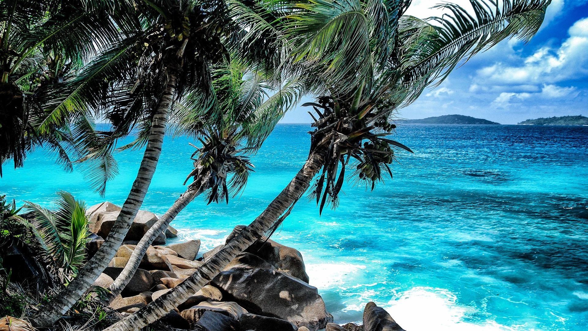 1920x1080 The coast of the Seychelles Wallpaper