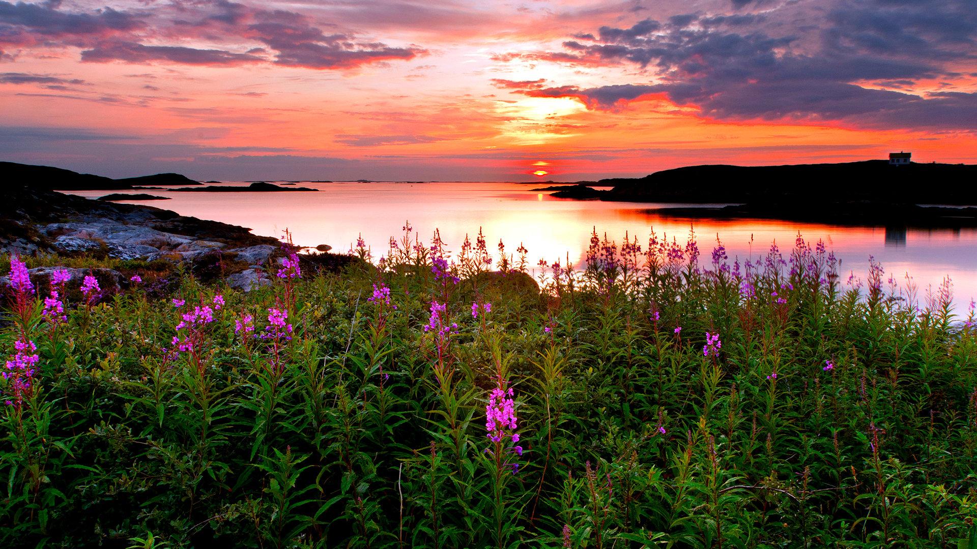 1920x1080 Sunset wallpaper 1920x1080 Full HD (1080p) desktop background