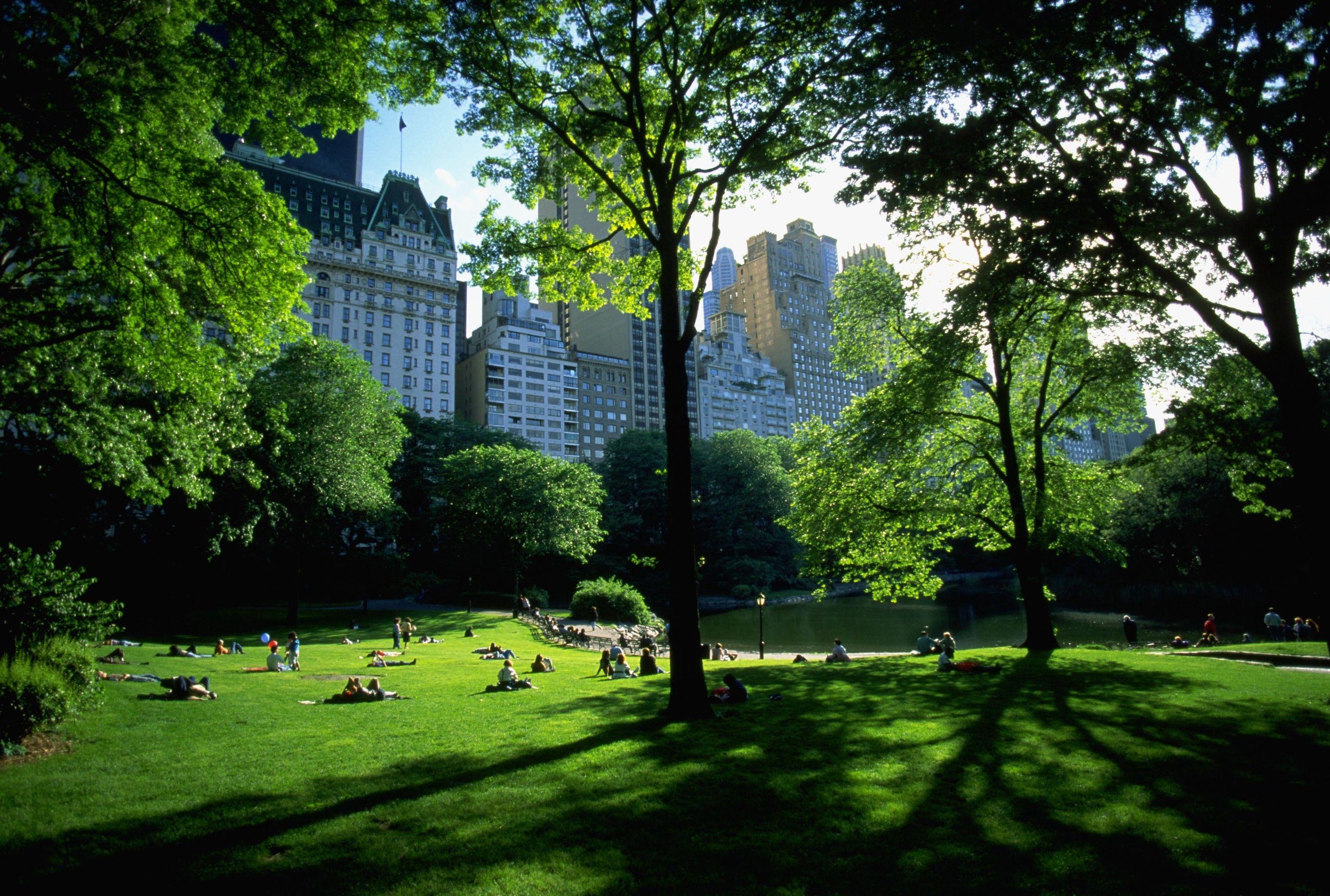 2919x1967 architecture central park new york city people trees