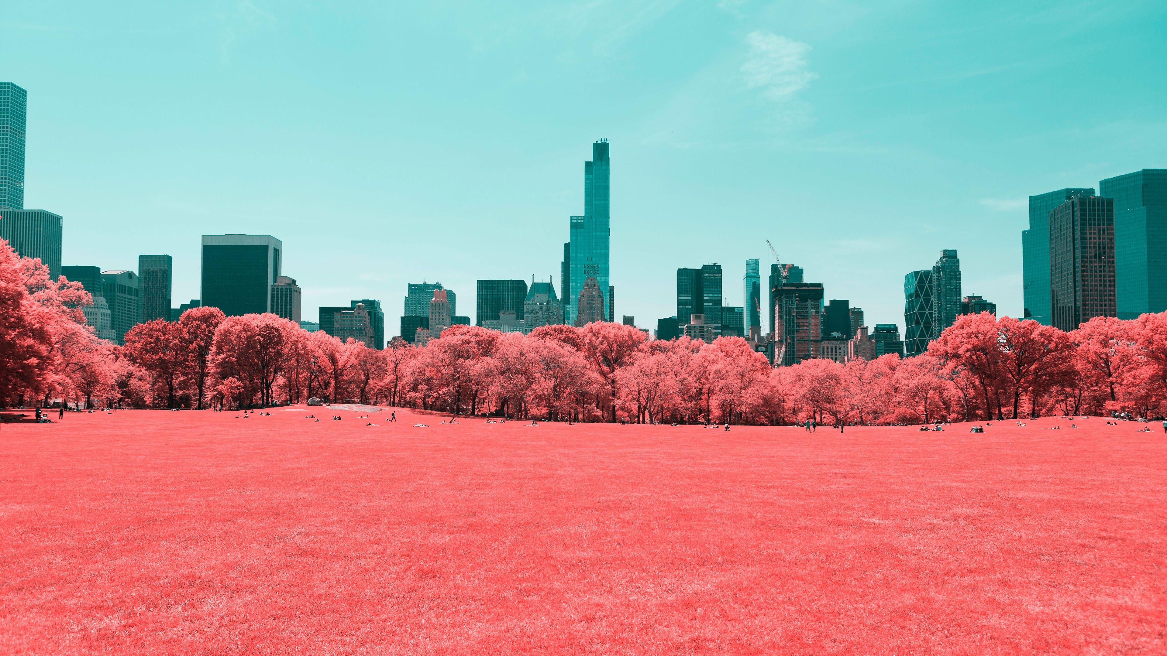 3840x2160 Wallpaper Central Park, Infrared, Manhattan, New York City, 4K, World,. Wallpaper for iPhone, Android, Mobile and Desktop