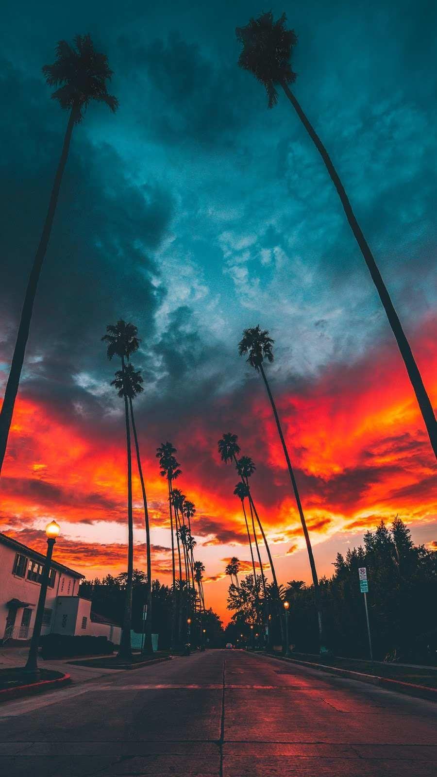Awesome Miami iPhone Wallpaper  Nature photography California wallpaper  Sunset wallpaper