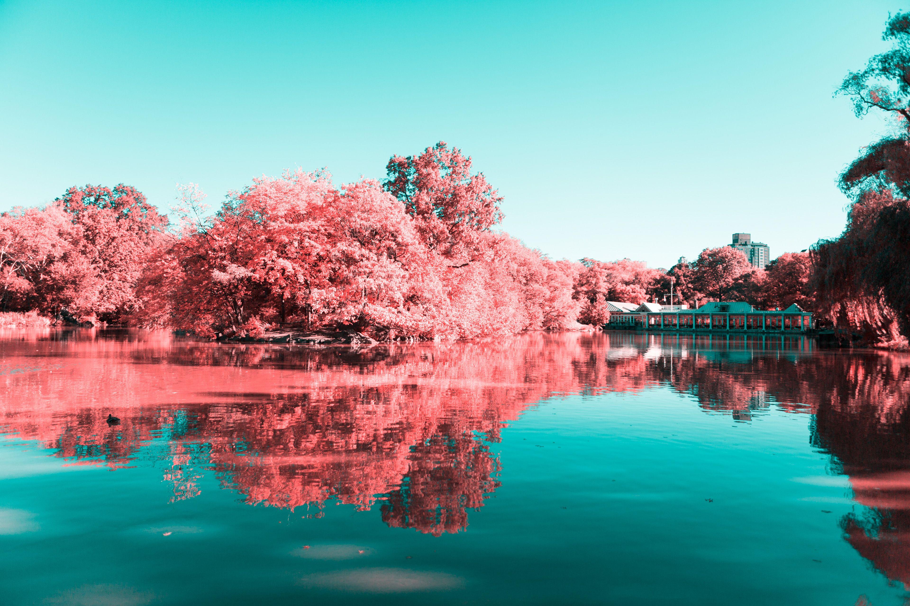 3840x2560 Wallpaper Central Park, Manhattan, New York City, 4K, Photography