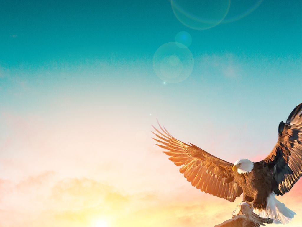 1024x768 On Eagle's Wings. Graphic design education, Eagles wings, Christian friends