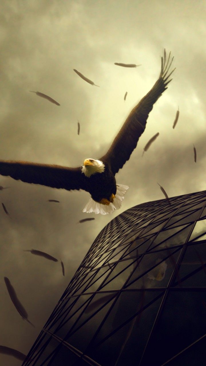 720x1280 Wallpaper Eagle, 4k, HD wallpaper, sky, clouds, building, fly, wings, plumage, art, OS
