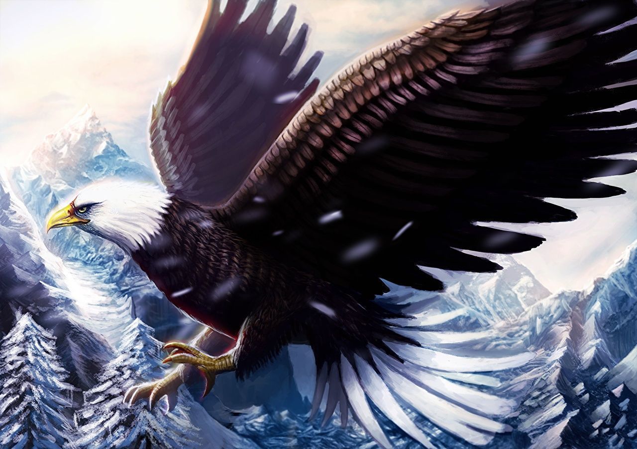 1280x904 image bird eagle Wings Animals Painting Art