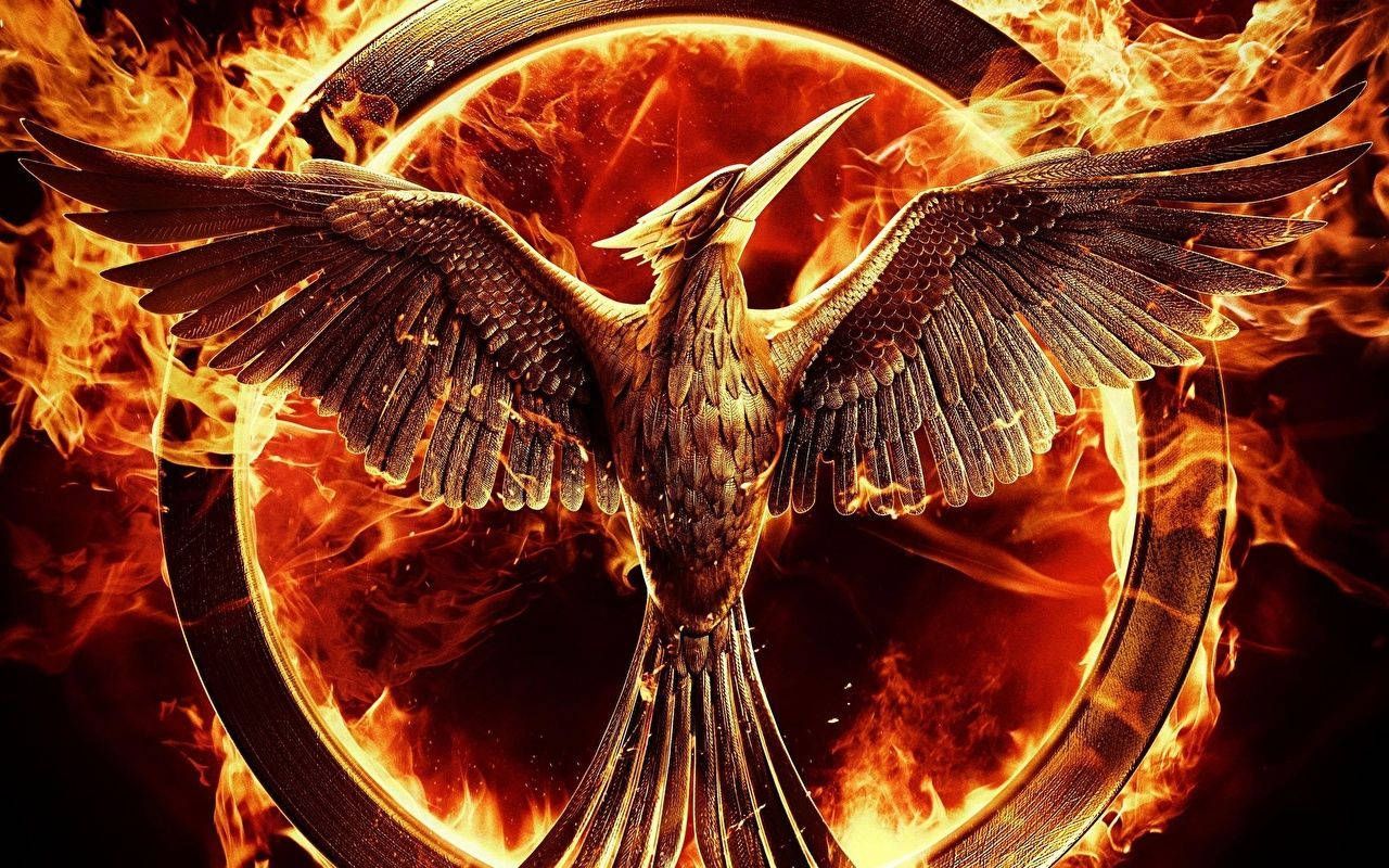 1280x800 Download Majestic Bird With Fire Wings Wallpaper