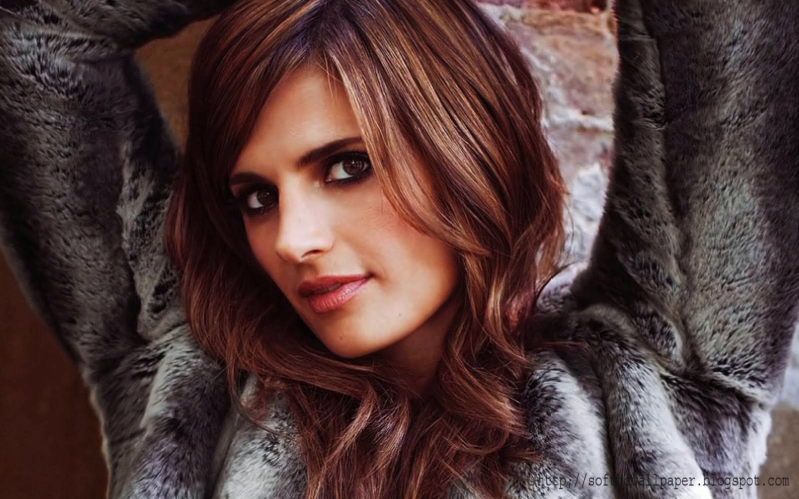 1600x1000 HD Wallpaper: Hollywood Actress Stana Katic HD Wallpaper