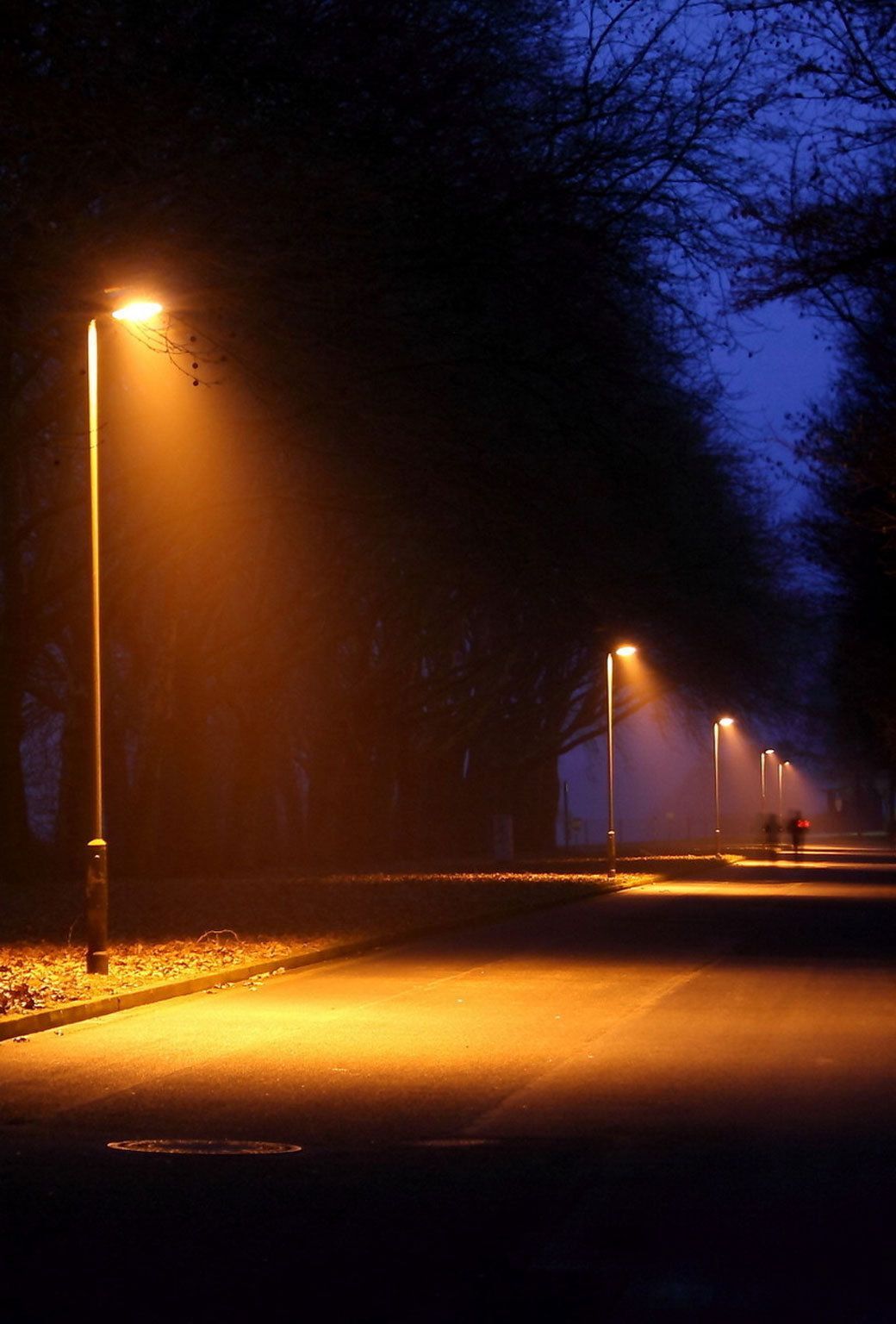 1040x1536 Street Lights in a Dark Road HD wallpaper