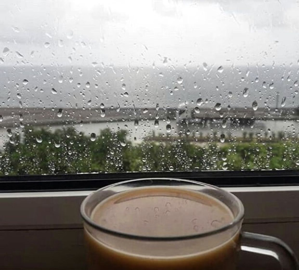 1242x1122 Rain and Coffee. Rain and coffee, I love rain, Cozy coffee shop