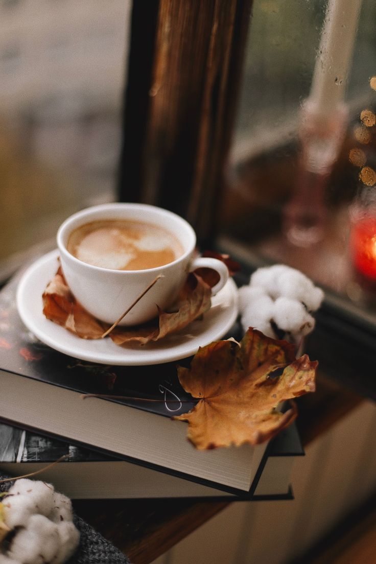 736x1104 Cozy Cafe Wallpaper