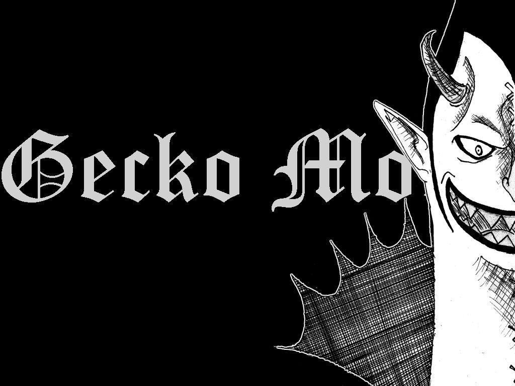 1024x768 Gecko Moria Wallpaper