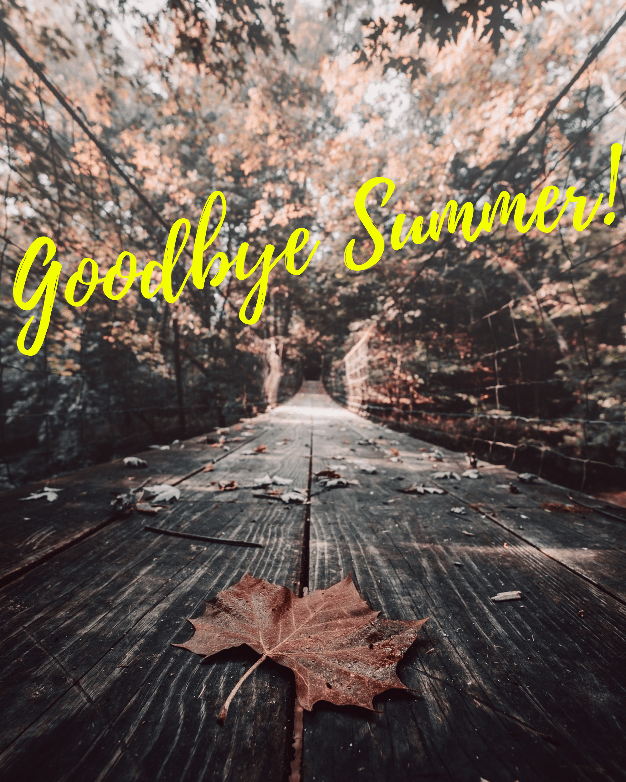 2000x2500 STORY TEMPLATE: Goodbye Summer! Instagram Post Template