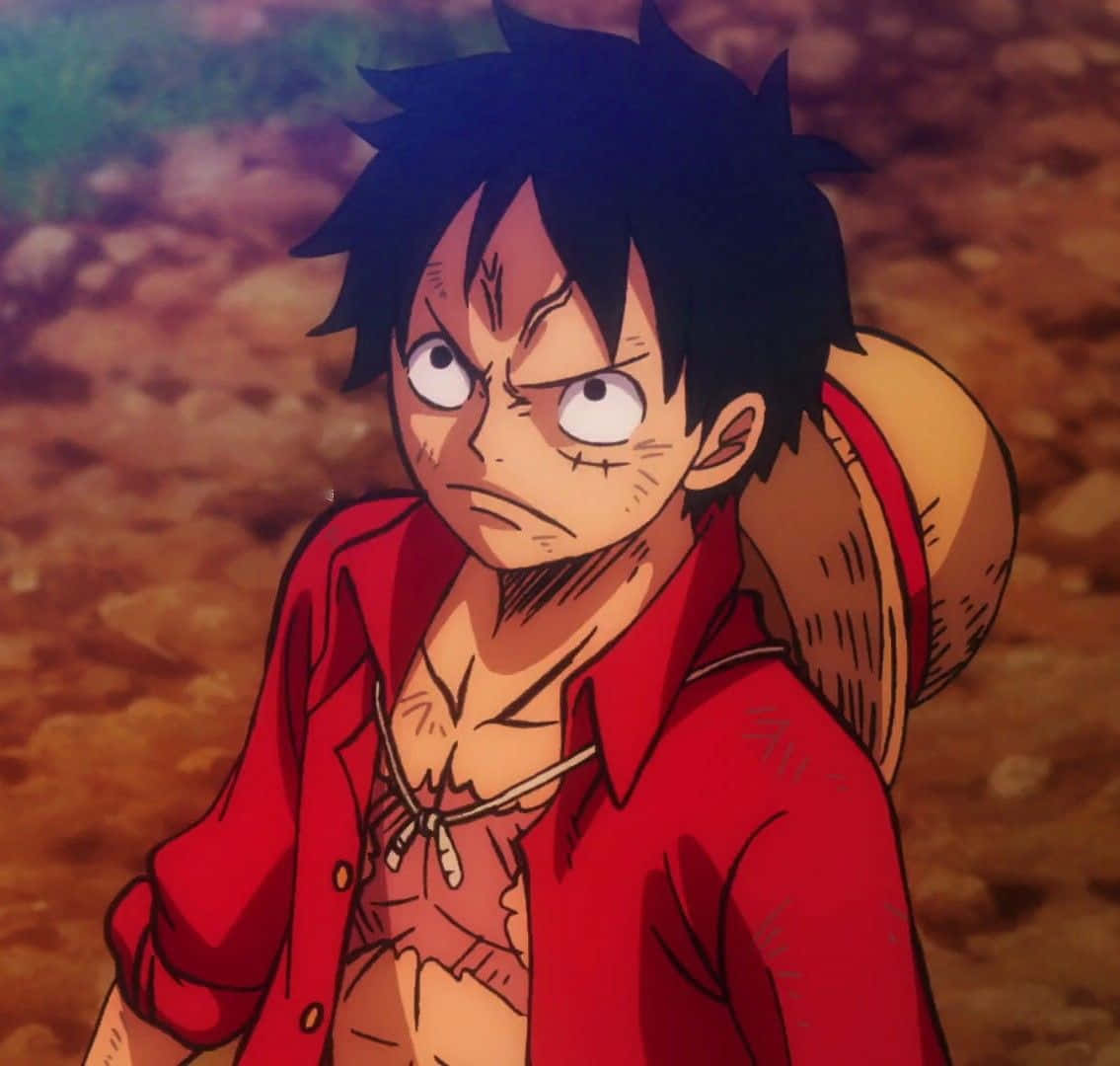 1135x1080 Download Luffy and Friends Prepare to Brave the 'One Piece Stampede!' Wallpaper