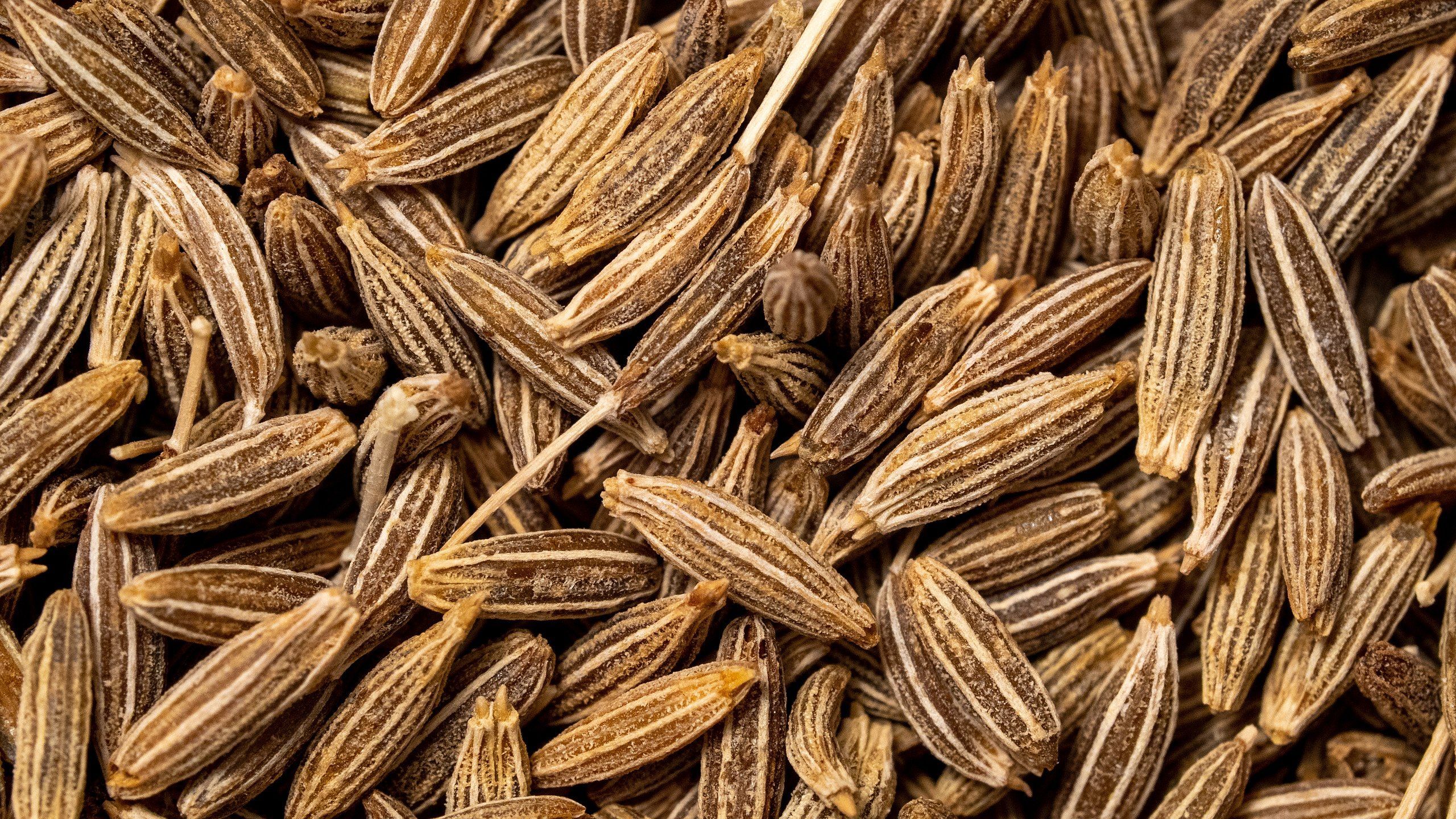 2560x1440 Cumin (Jeera)