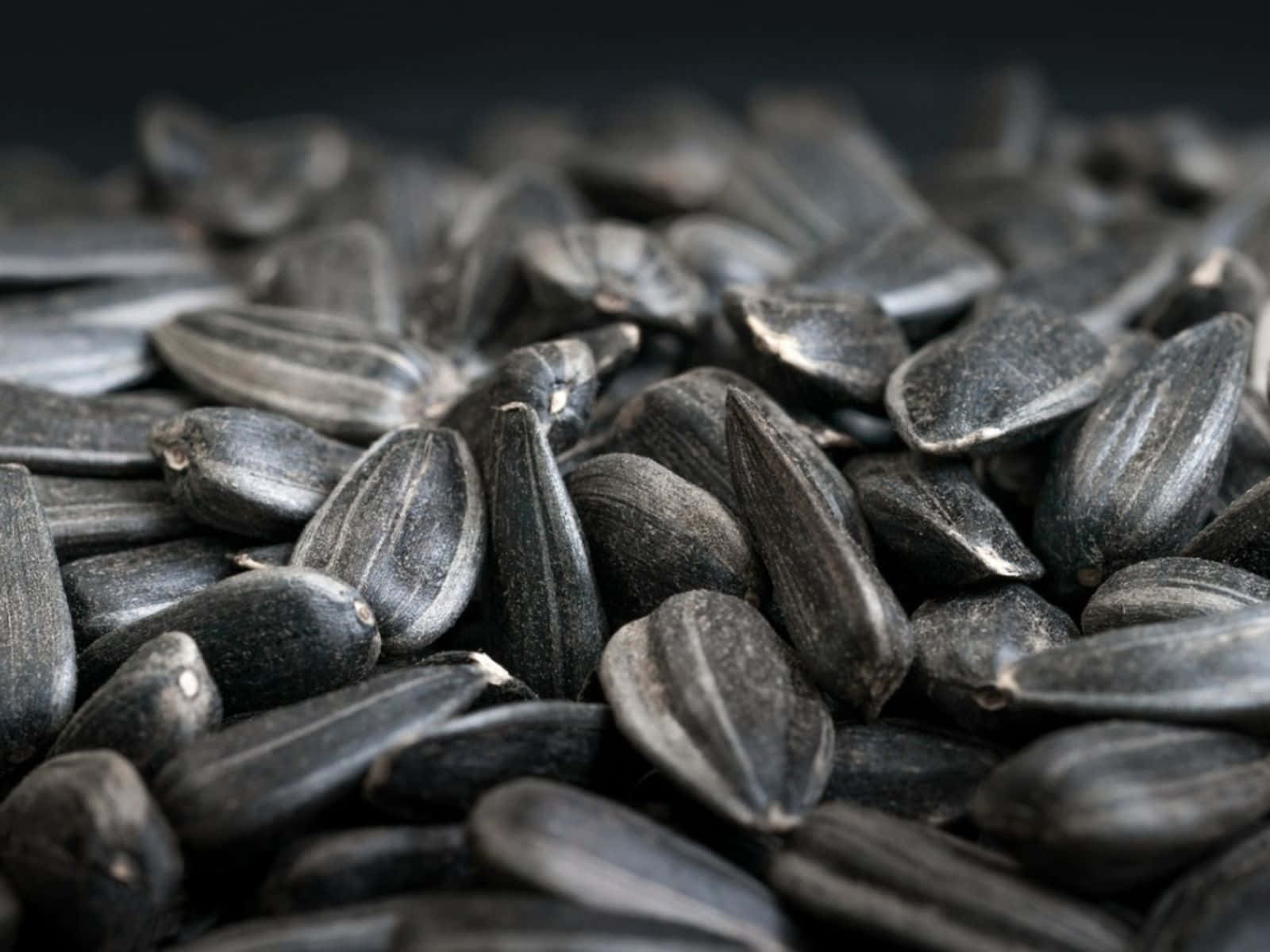 1600x1200 Download The Healing Benefits of Black Cumin Wallpaper