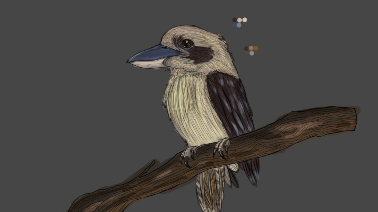 1239x695 Nicholas Milosevski, The Laughing Kingfisher Concept Art