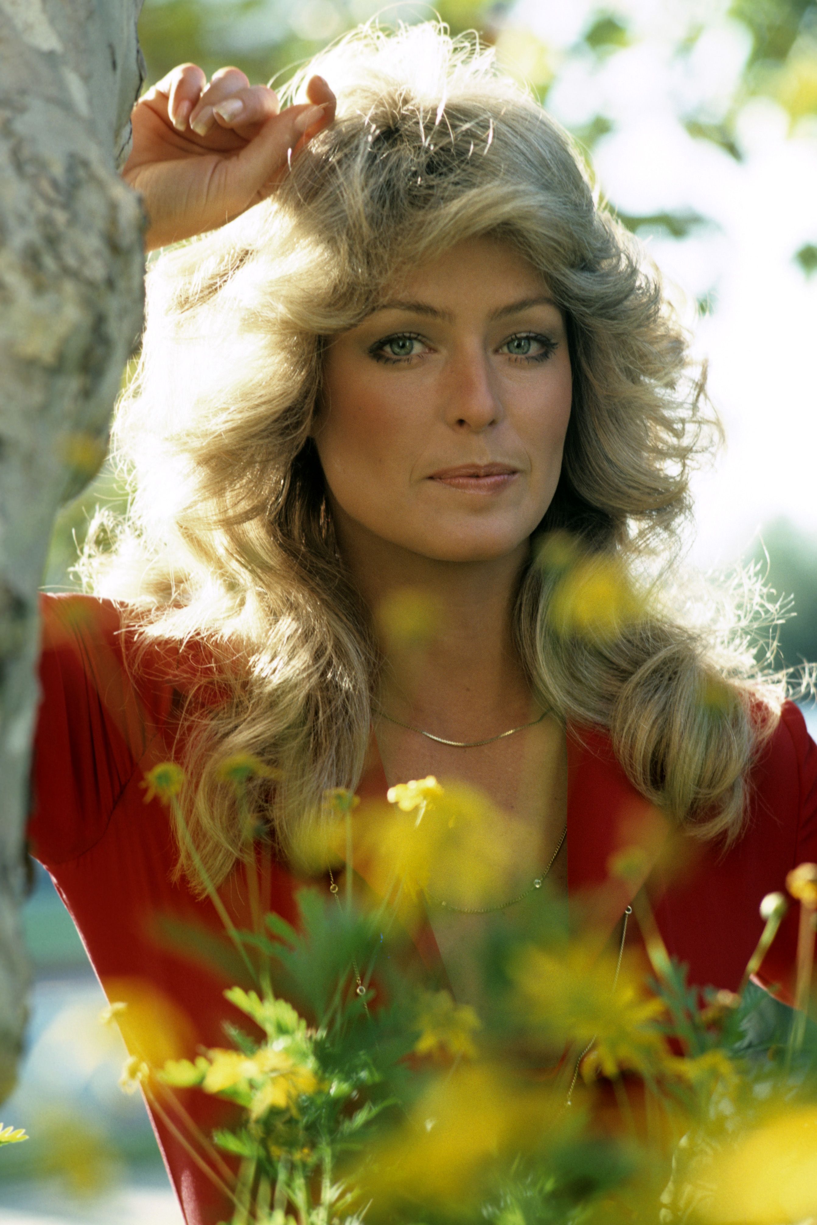 2685x4026 Farrah Fawcett's Life in Photo of Farrah Fawcett