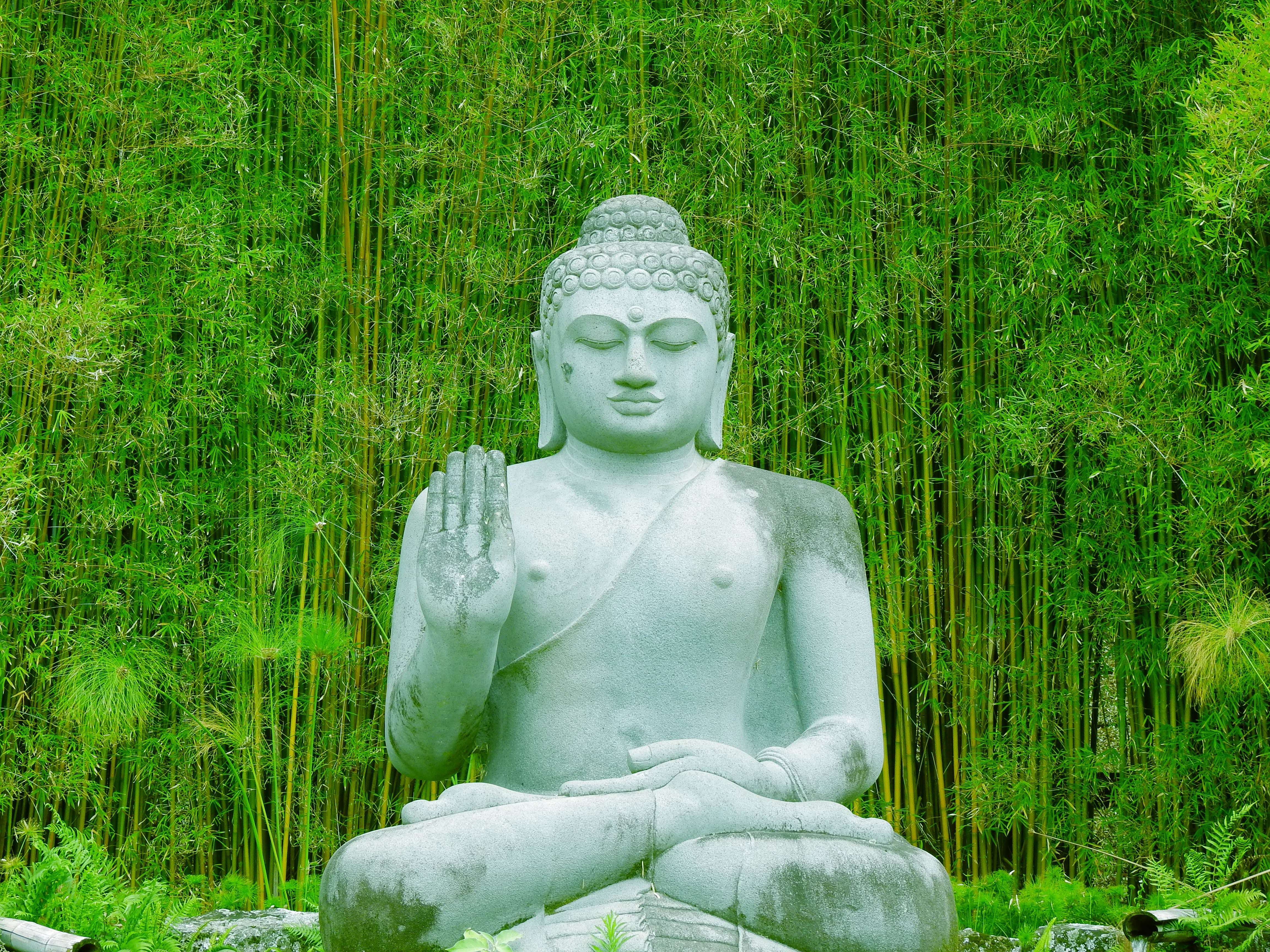 4608x3456 The Blessing Buddha at Crystal Castle & Shambhala Gardens in Montecollum, Australia · Free