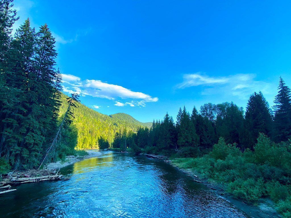 1024x768 Mark Farina on X: Bridge to Shambhala Music Festival / X