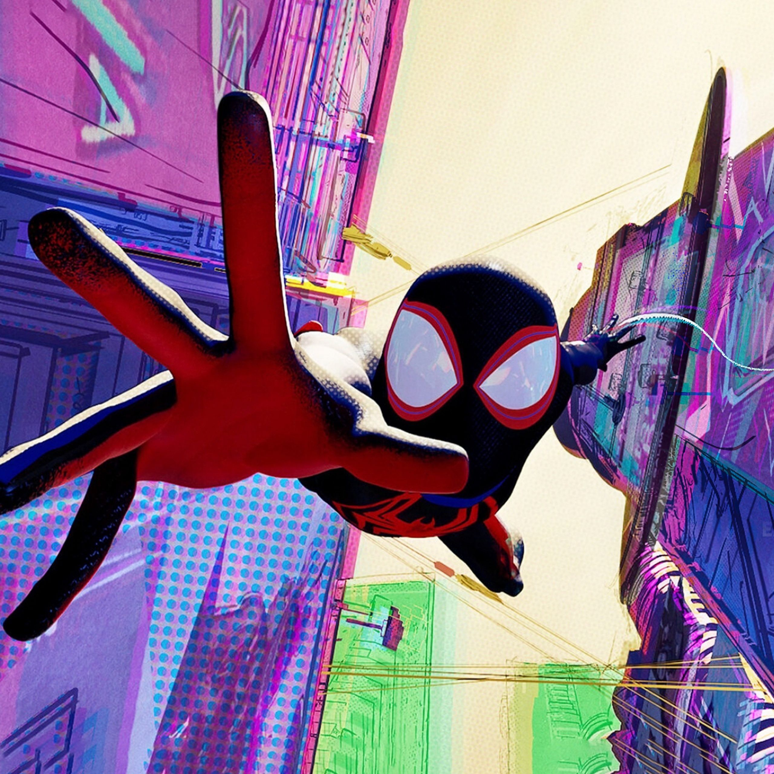 2560x2560 Spider Man: Across The Spider Verse Wallpaper 4K, Animation
