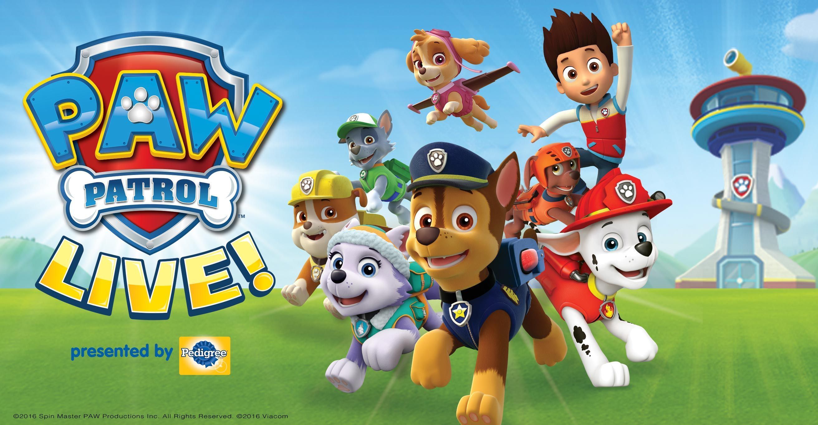 Ryder Paw Patrol Wallpapers - Top Free Ryder Paw Patrol Backgrounds ...