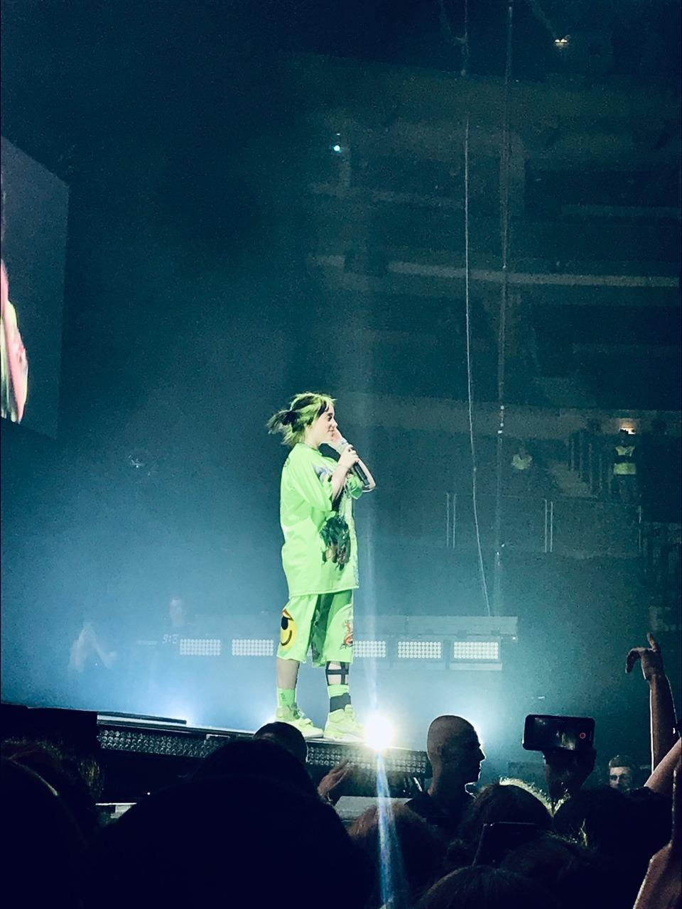 960x1280 Billie Eilish Concert iPhone Wallpaper