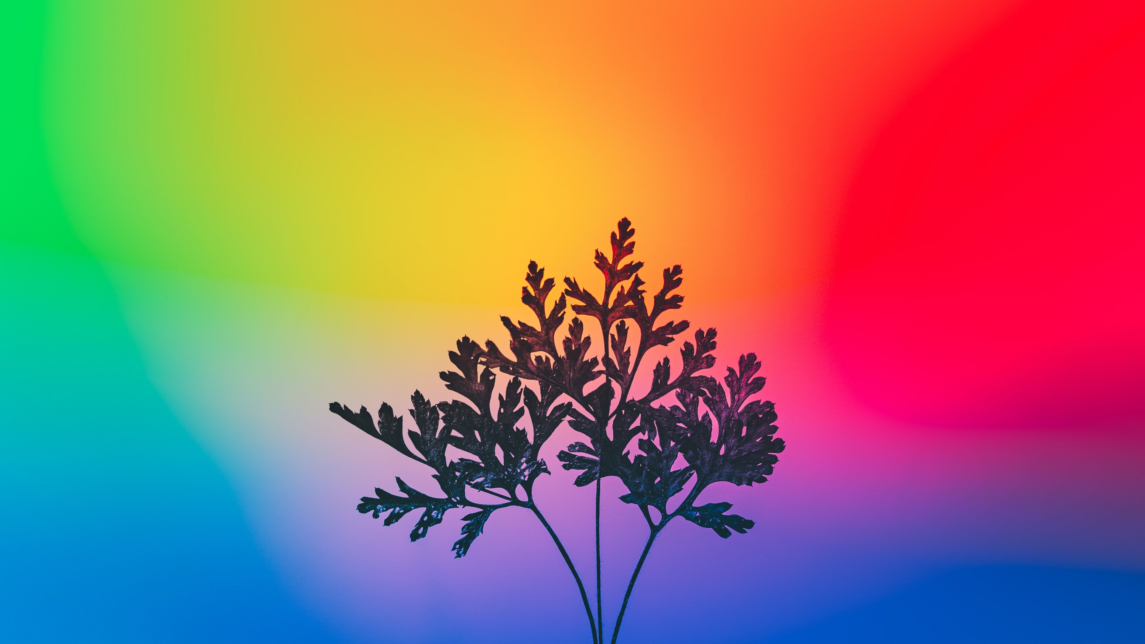 3840x2160 Herbal plant Wallpaper 4K, Gradient background, RGB Light