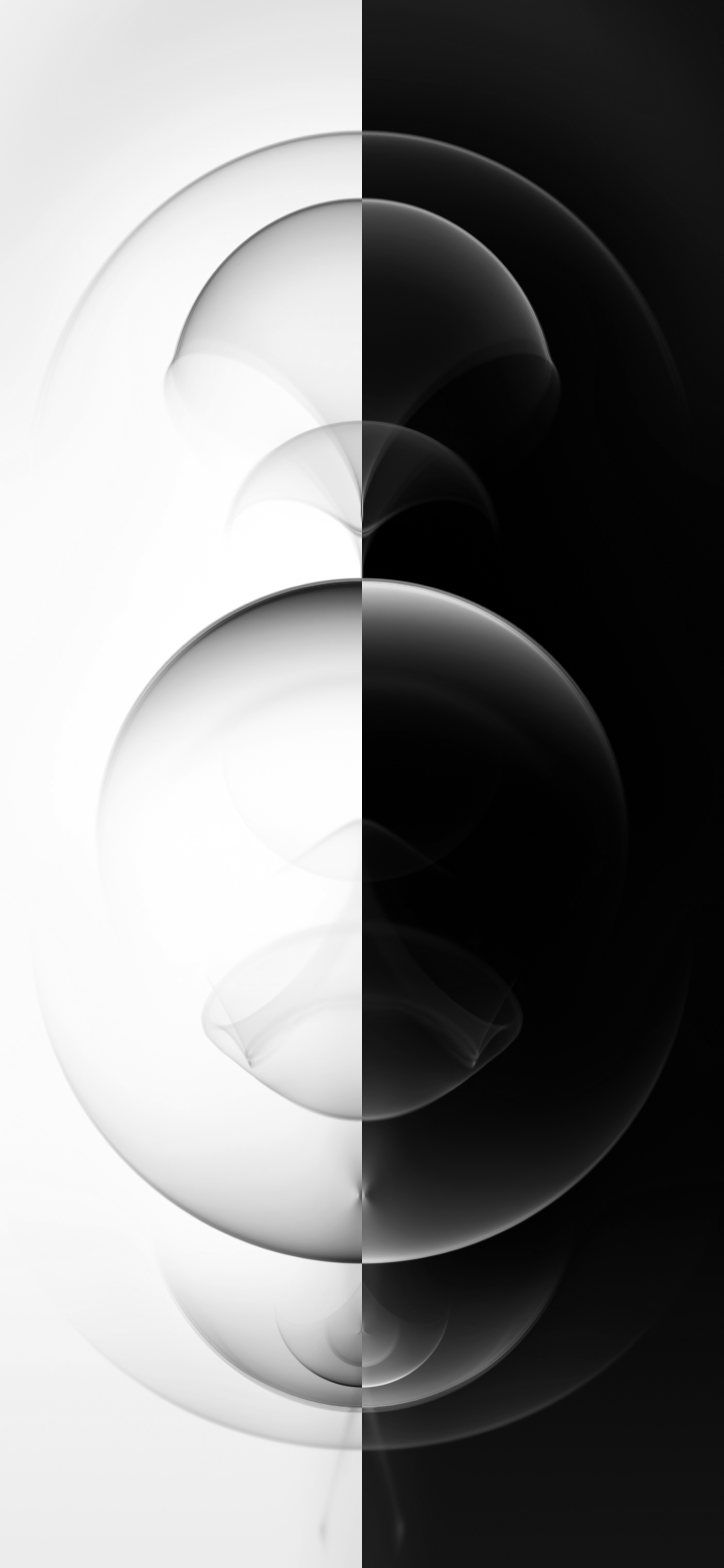 1420x3073 iPhone 12 Pro Black and White