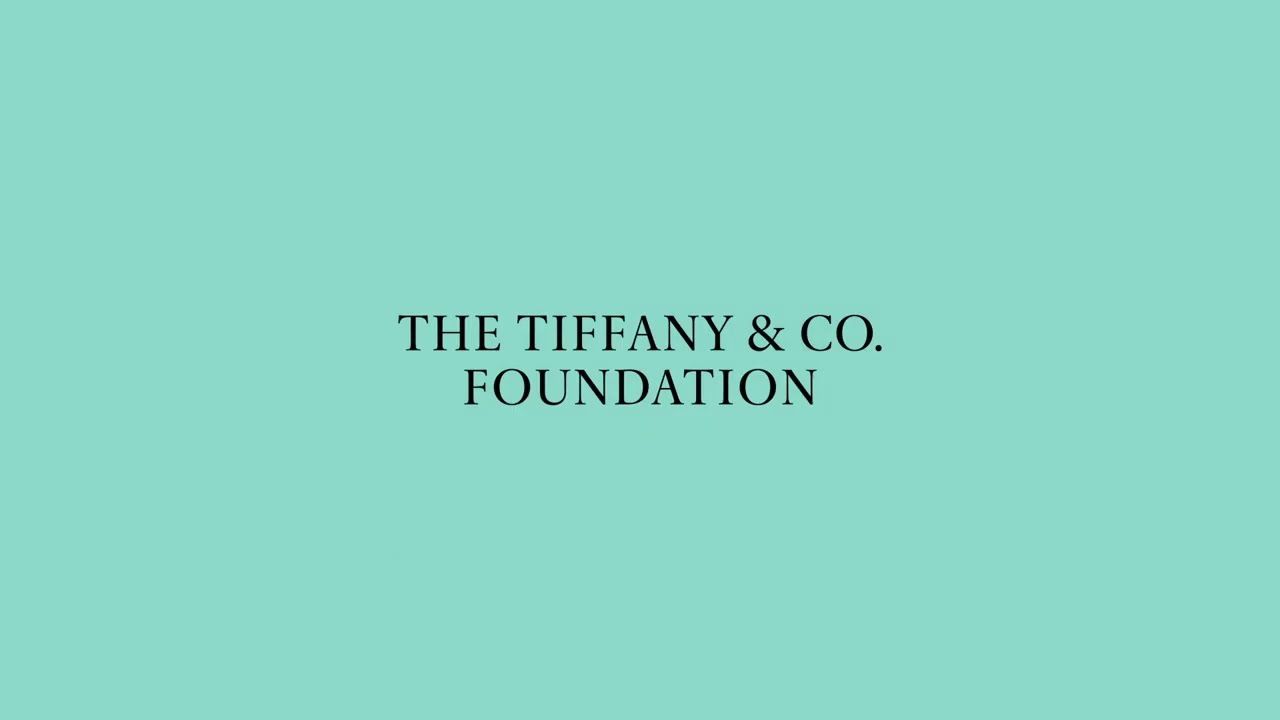 1280x720 The Tiffany & Co. Foundation Surpasses its $100 Million Dollar Grantmaking Milestone