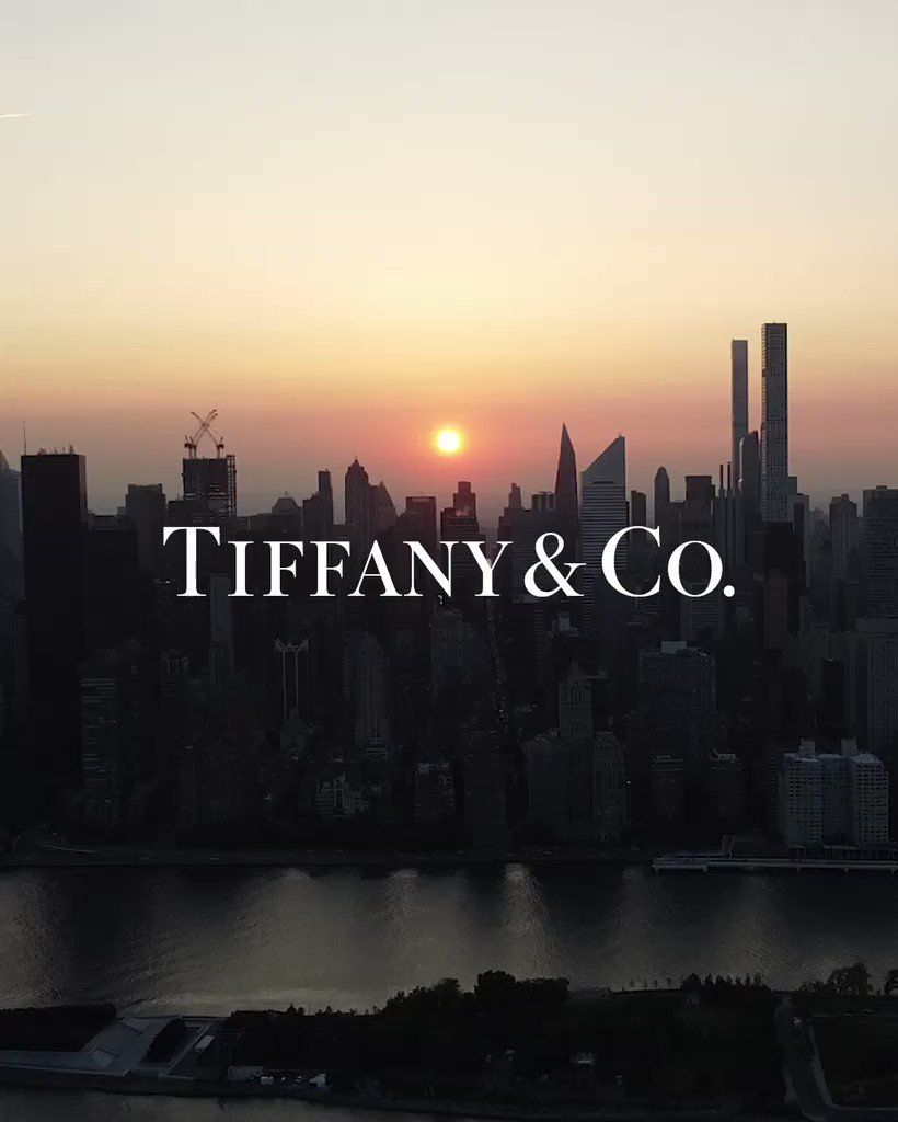 820x1024 Tiffany & Co. on X: Making waves in Manhattan. Are you ready? Discover more: #TiffanyHighJewelry #TiffanyBlueBook #TiffanyAndCo / X