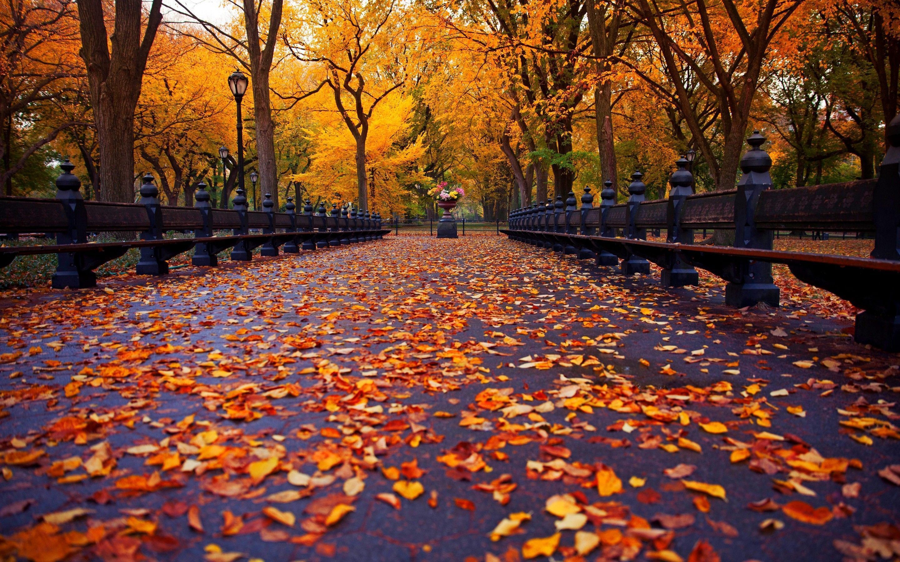 2880x1800 Autumn New York City Wallpaper
