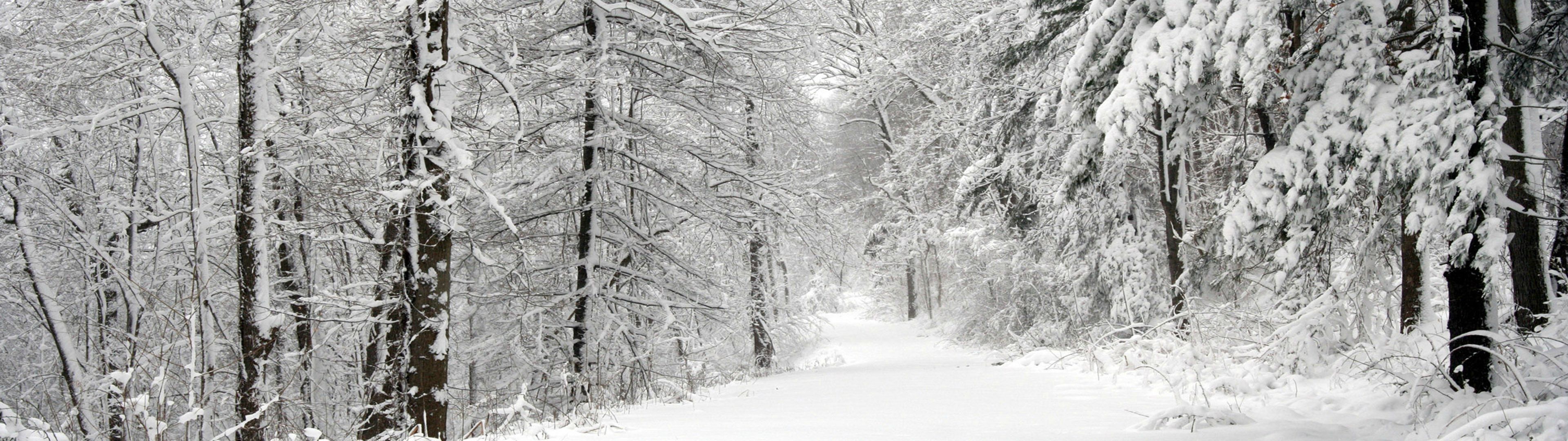 3840x1080 Cozy Winter Dual Monitor Wallpaper