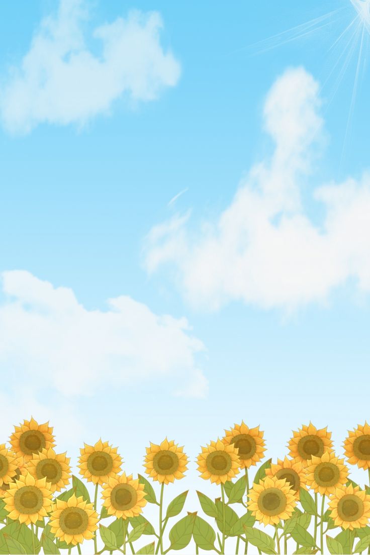 736x1104 Cartoon Hand Drawn Wind Sunflower Poster Background Wallpaper Image For Free Download. Sunflower wallpaper, Sunflowers background, Scenery wallpaper