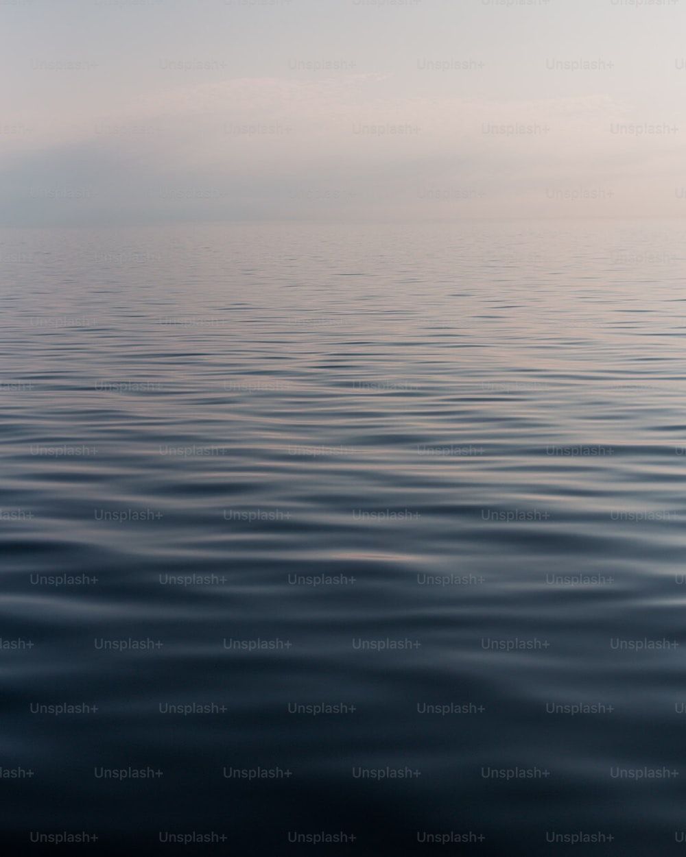 1000x1250 Condolences Picture. Download Free Image