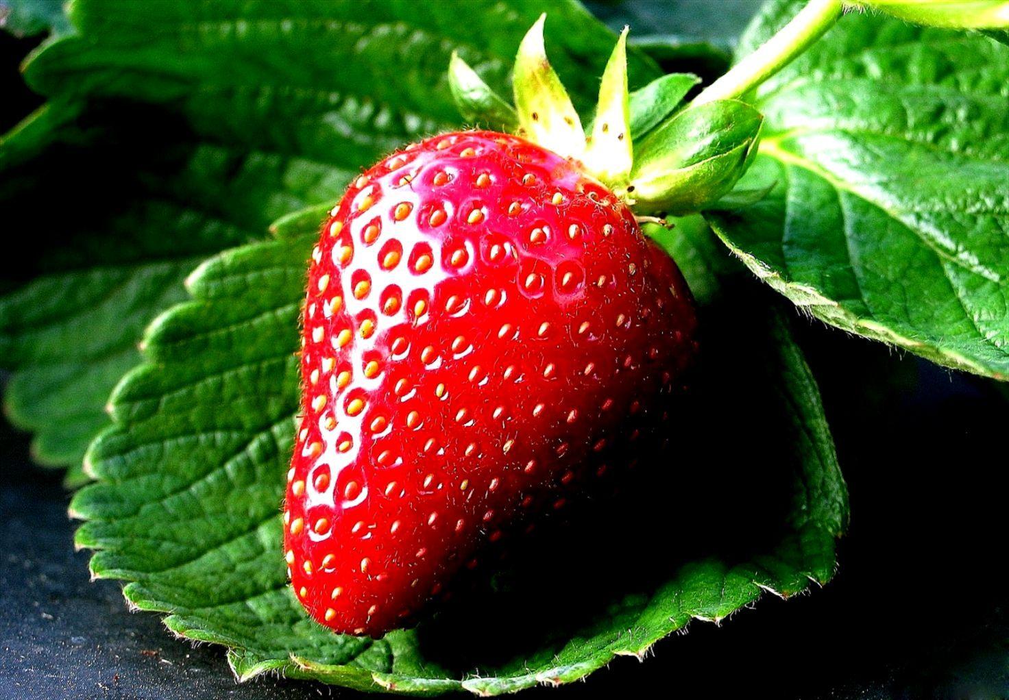 Fruits Wallpapers - Top Free Fruits Backgrounds - WallpaperAccess Fruits Wallpapers - Top Free Fruits Backgrounds - WallpaperAccess