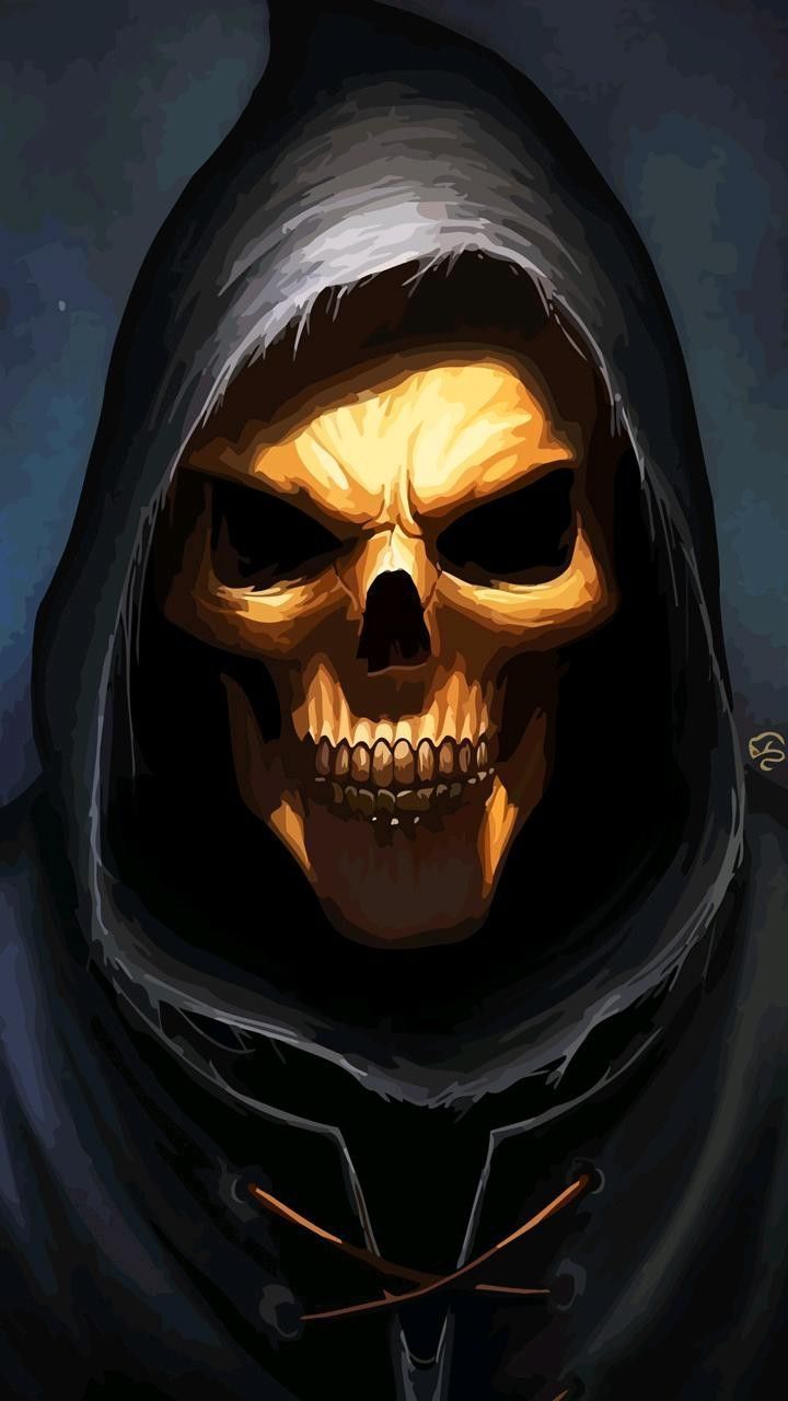 720x1280 Arte. Skull artwork, Skull art, Lion live wallpaper