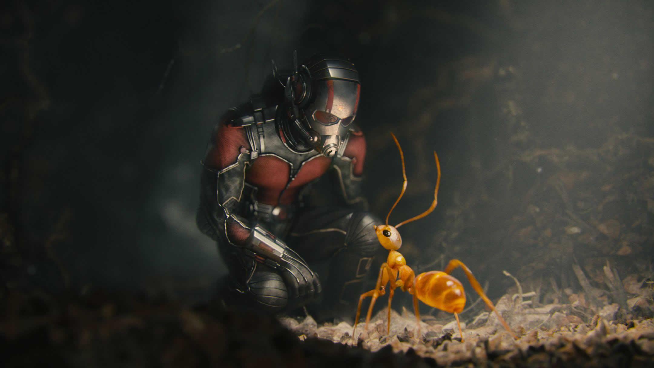 2160x1216 Ant Man HD Wallpaper. Background. Marvel