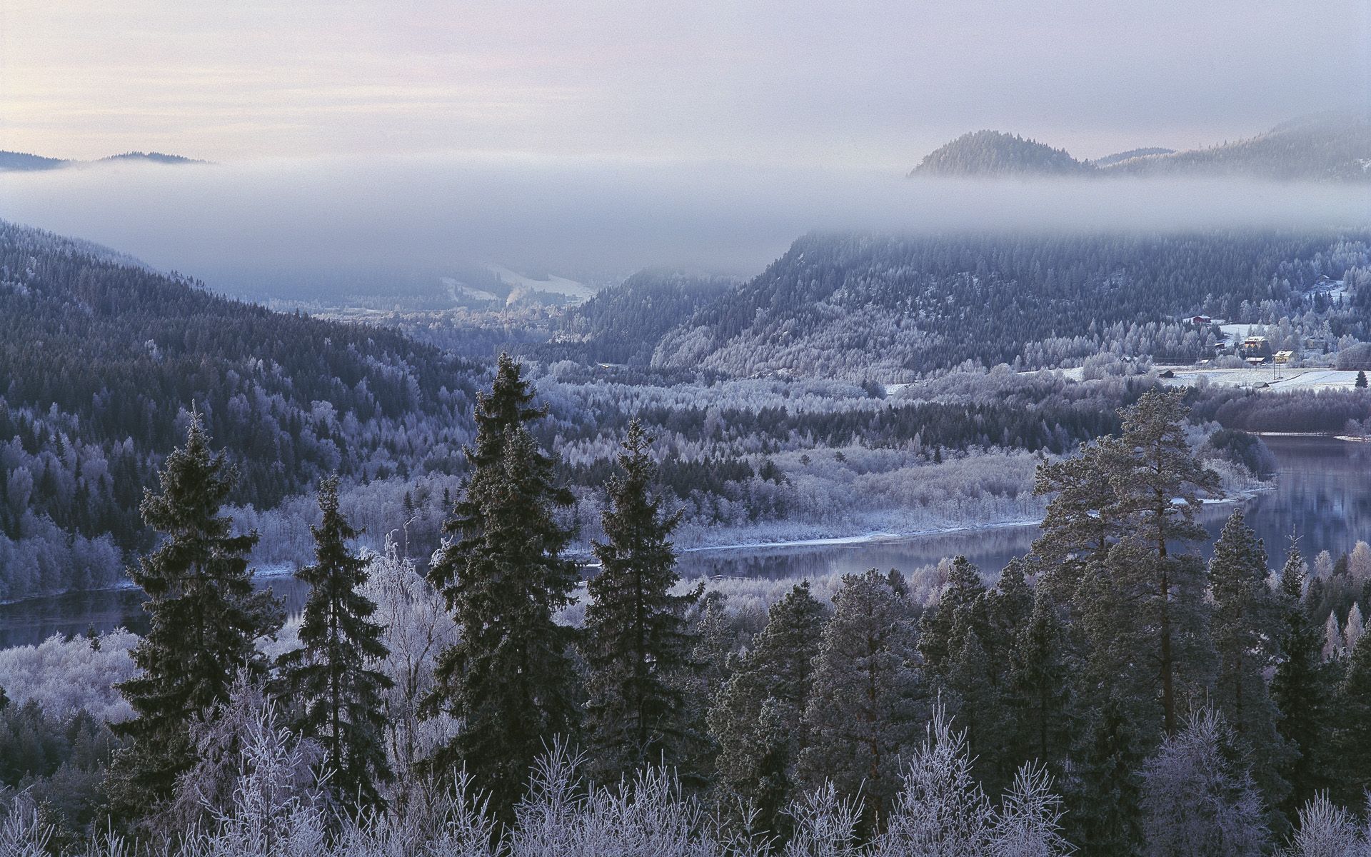 1920x1200 Swedish Winter ideas. nature photo, amazing nature, nature