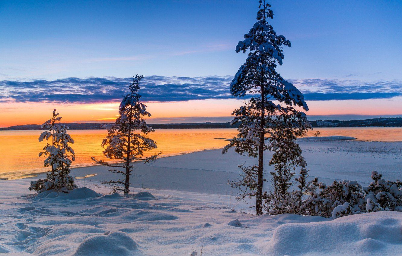 1332x850 Sweden Winter Wallpaper