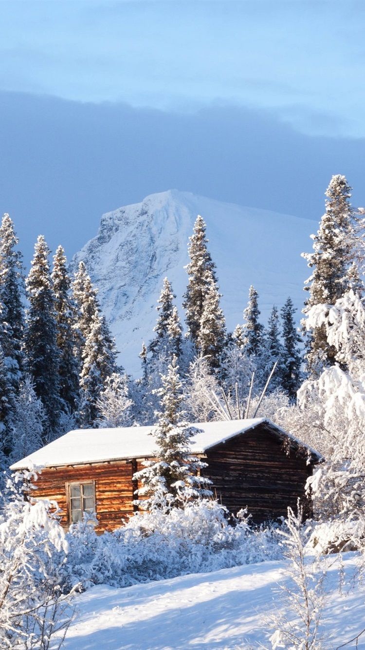 750x1334 Sweden, Forest, Wood House, Snow, Winter 750x1334 IPhone 8 7 6 6S Wallpaper, Background, Picture, Image