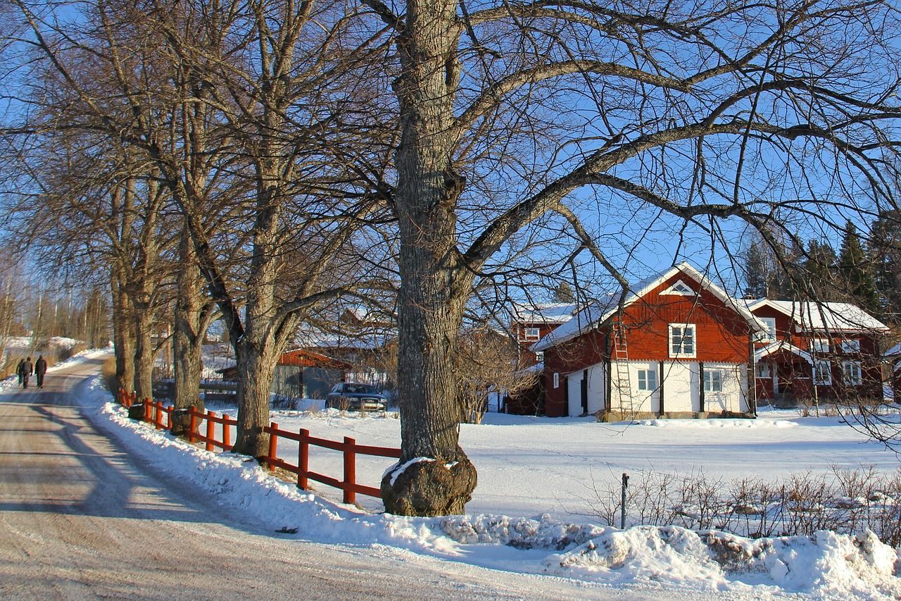 1280x853 Snow Winter Cold