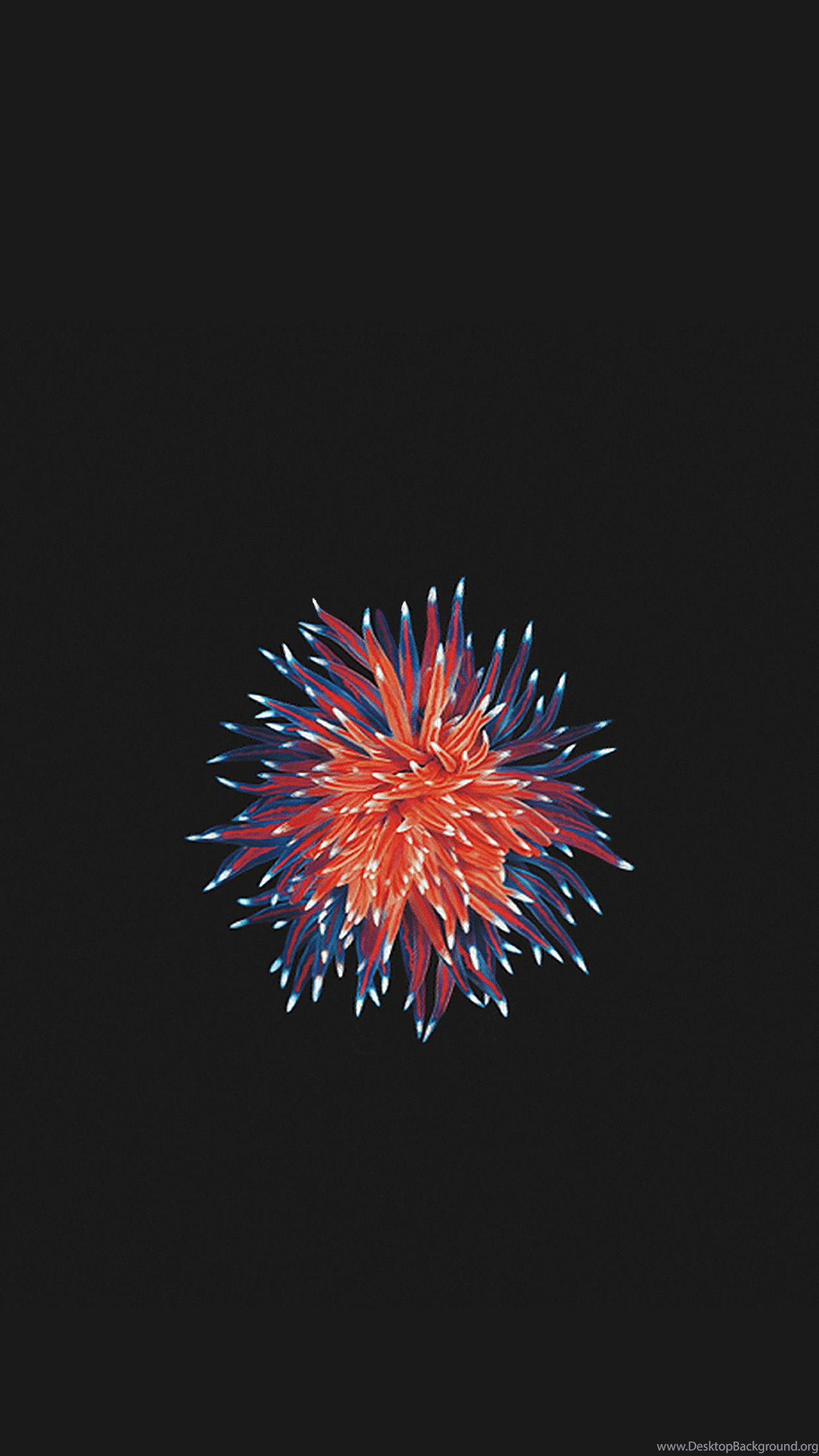1242x2208 iPhone SE And iPad Pro Wallpaper Desktop Background