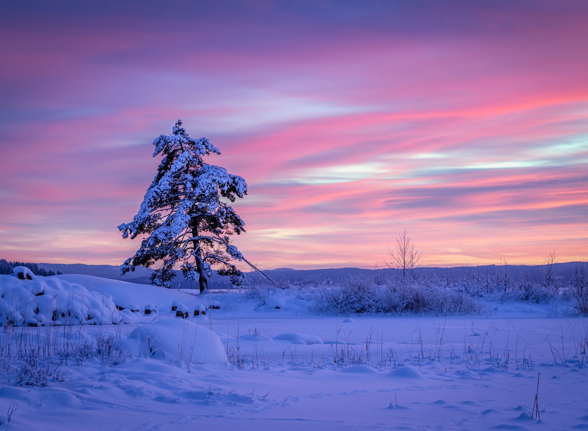 1920x1408 Download wallpaper winter, snow, sunset, tree, the snow, Sweden, Sweden, pine, section landscapes in resolution 1920x1408