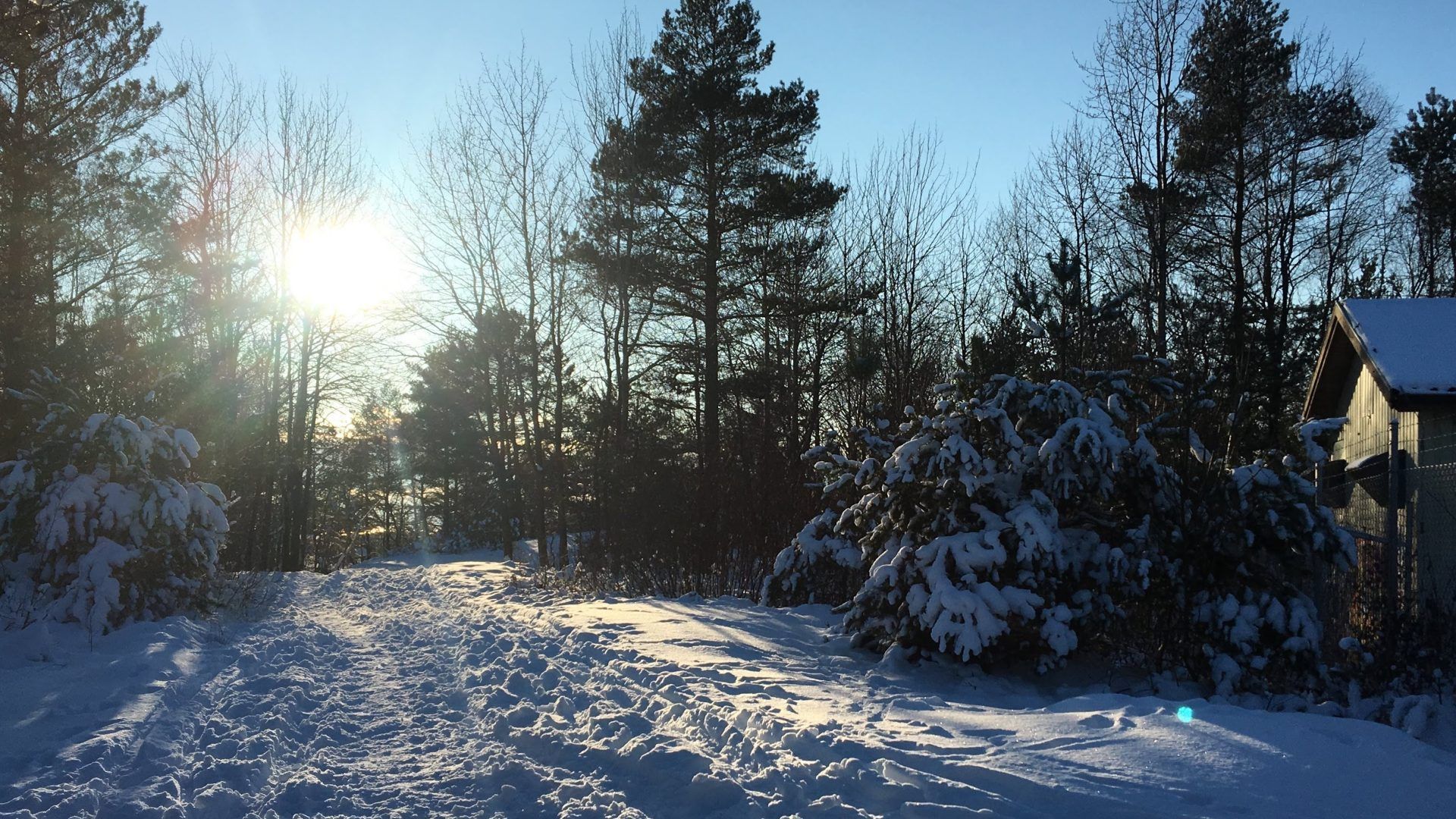 1920x1080 Best Beautiful Places to Visit in Sweden in Winter Nature Trip