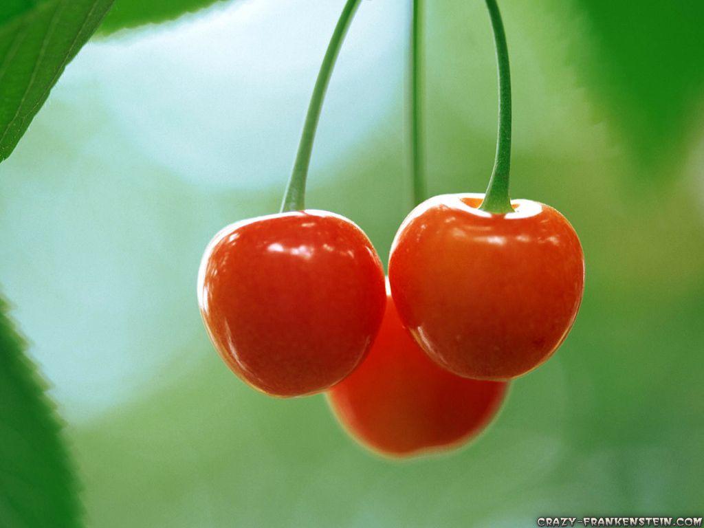 1024x768 Fruits Wallpaper 4K (1024x768). Wallperio.com™