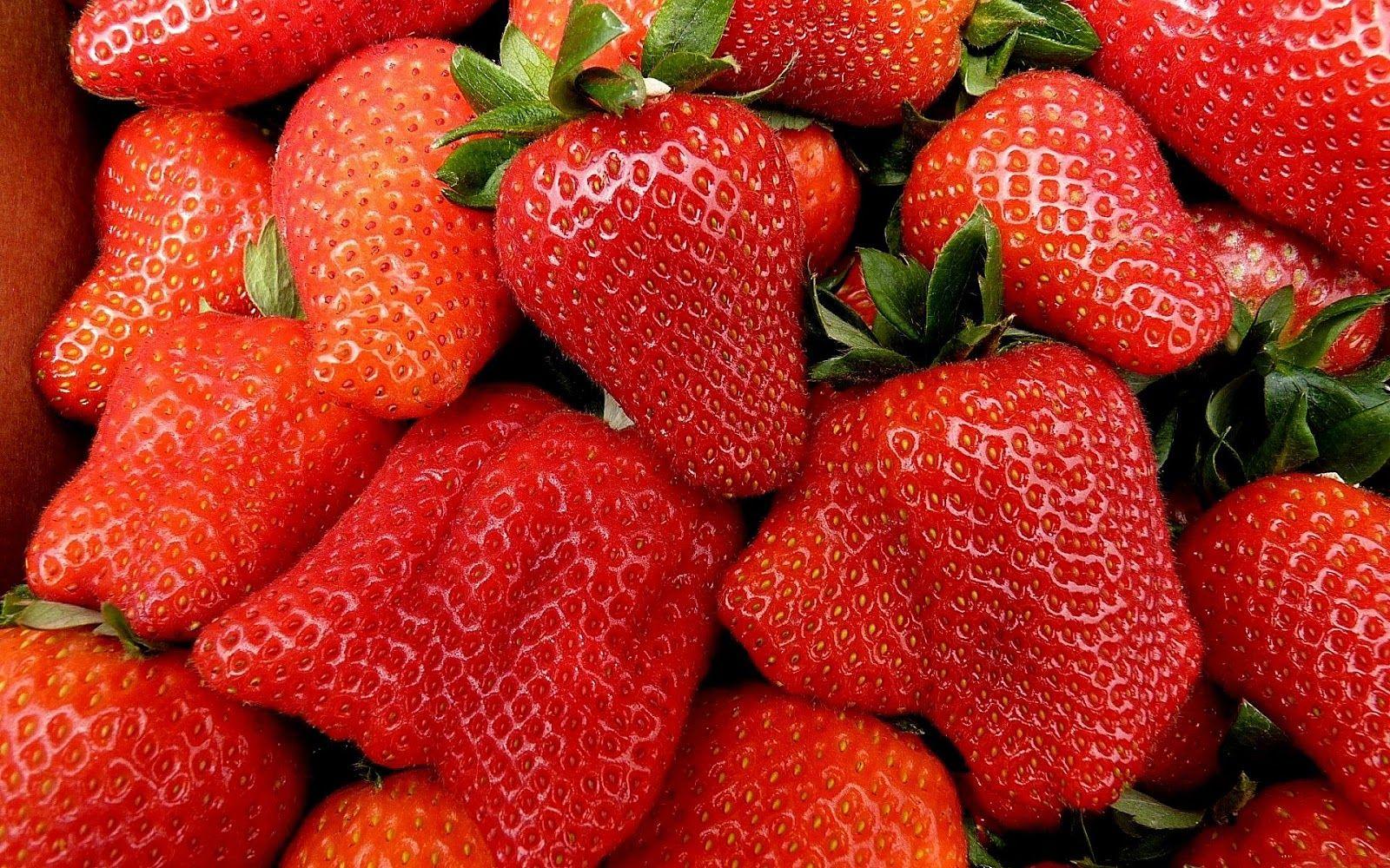 1600x1000 Free Download 3D Fruits wallpaper 2013. free download wallpaper