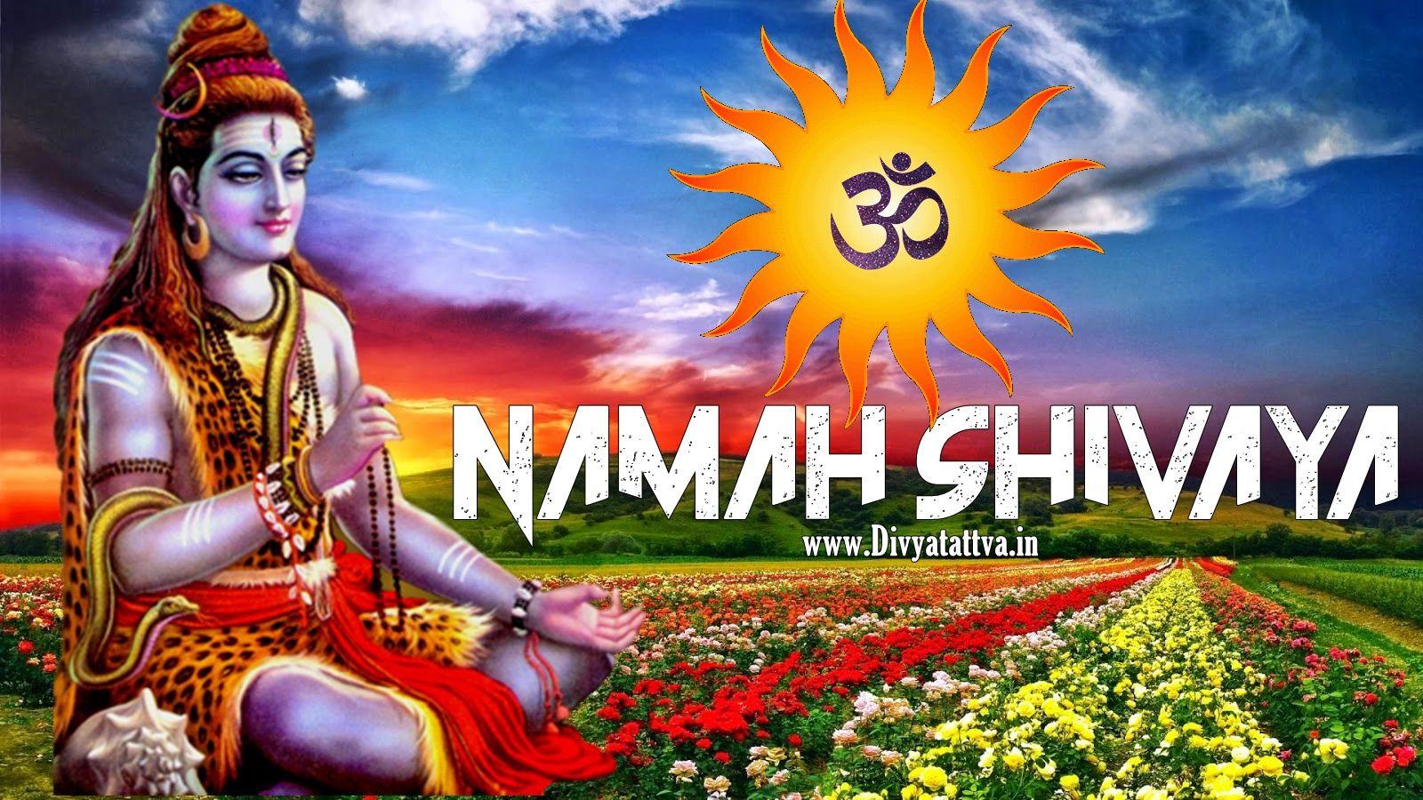1600x900 Divyatattva Astrology Free Horoscopes Psychic Tarot Yoga