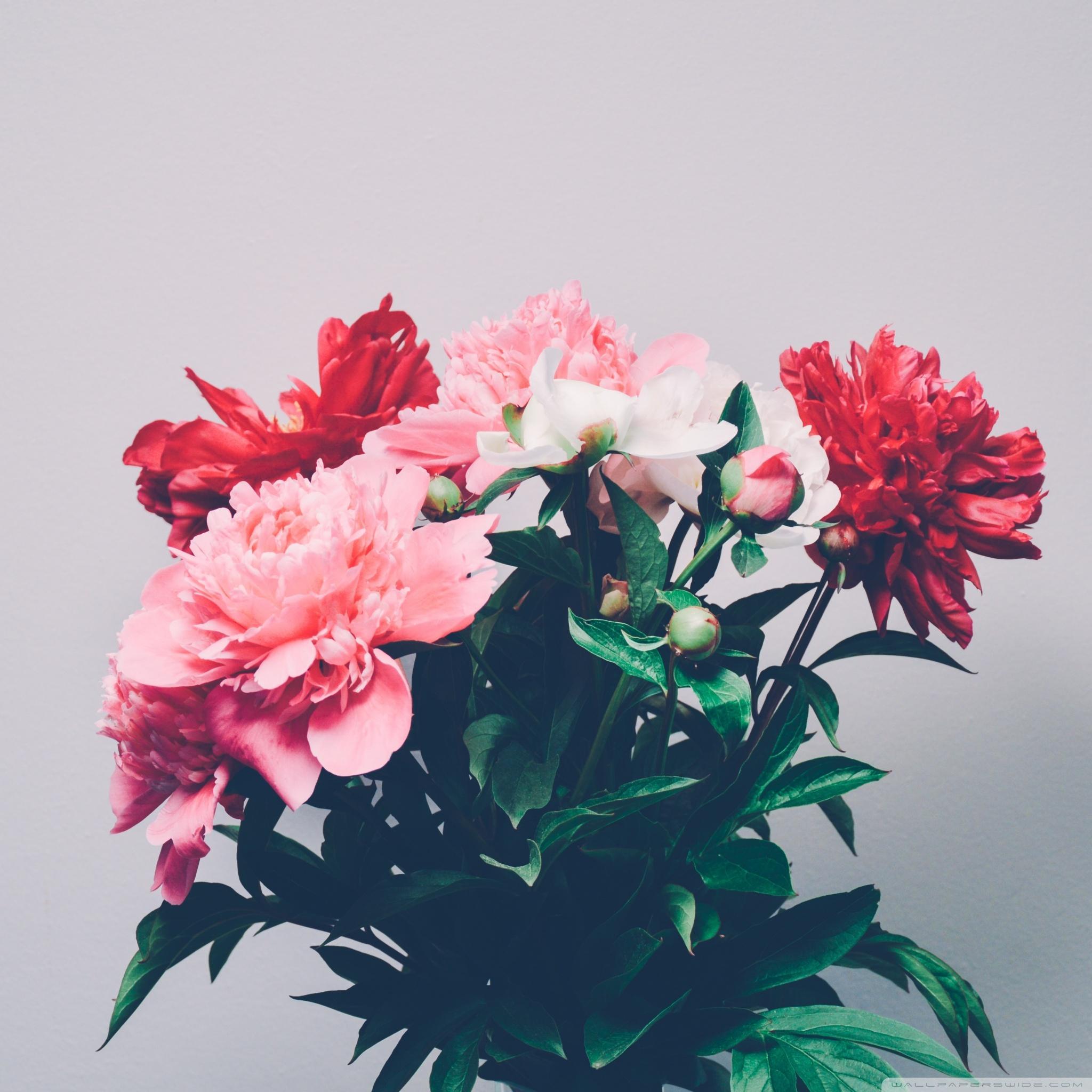 2048x2048 Vsco Wallpaper